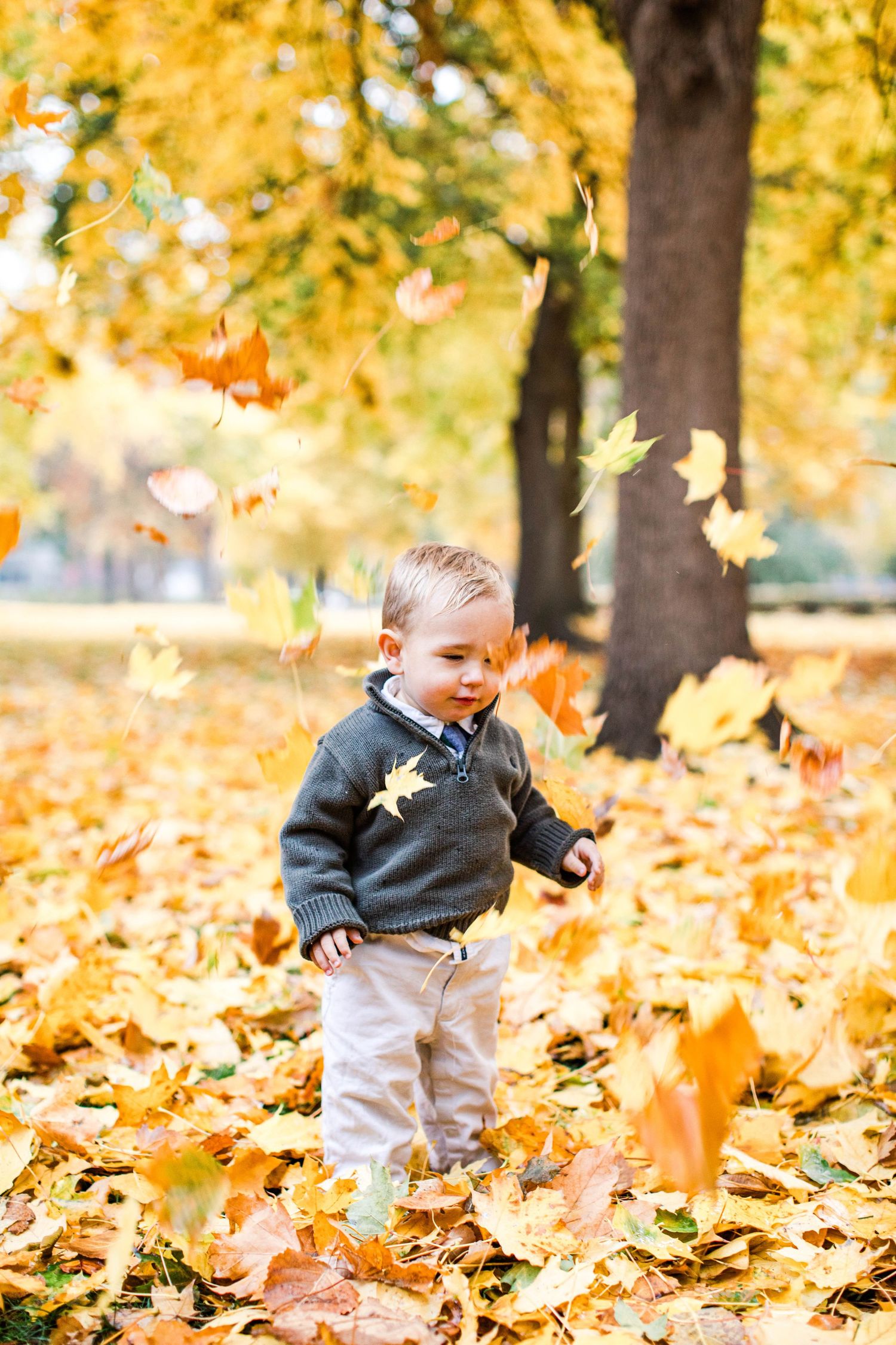 Child playing in fallen autumn leaves under golden trees.