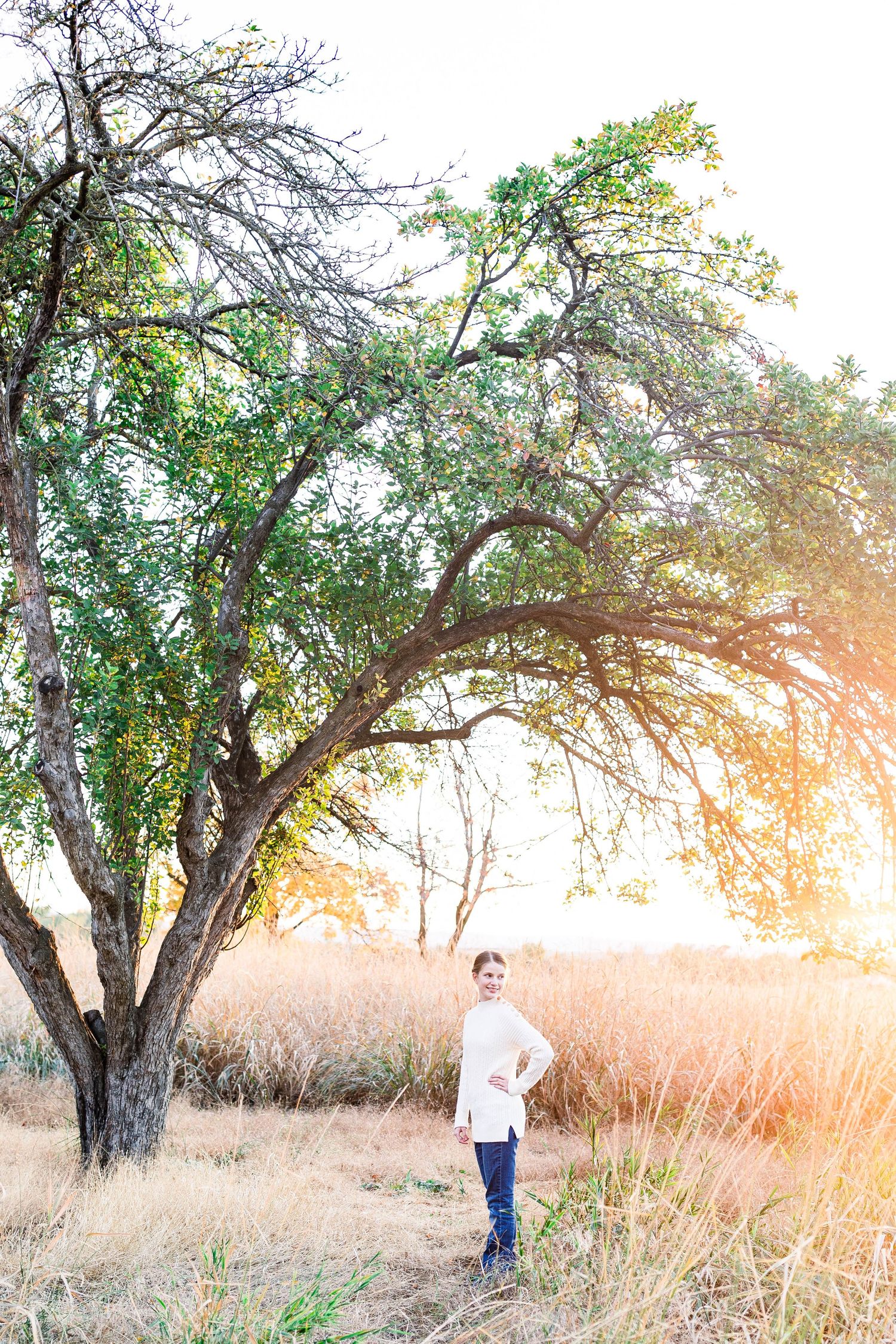 Scenic outdoor portrait series with person standing under large tree at sunset.