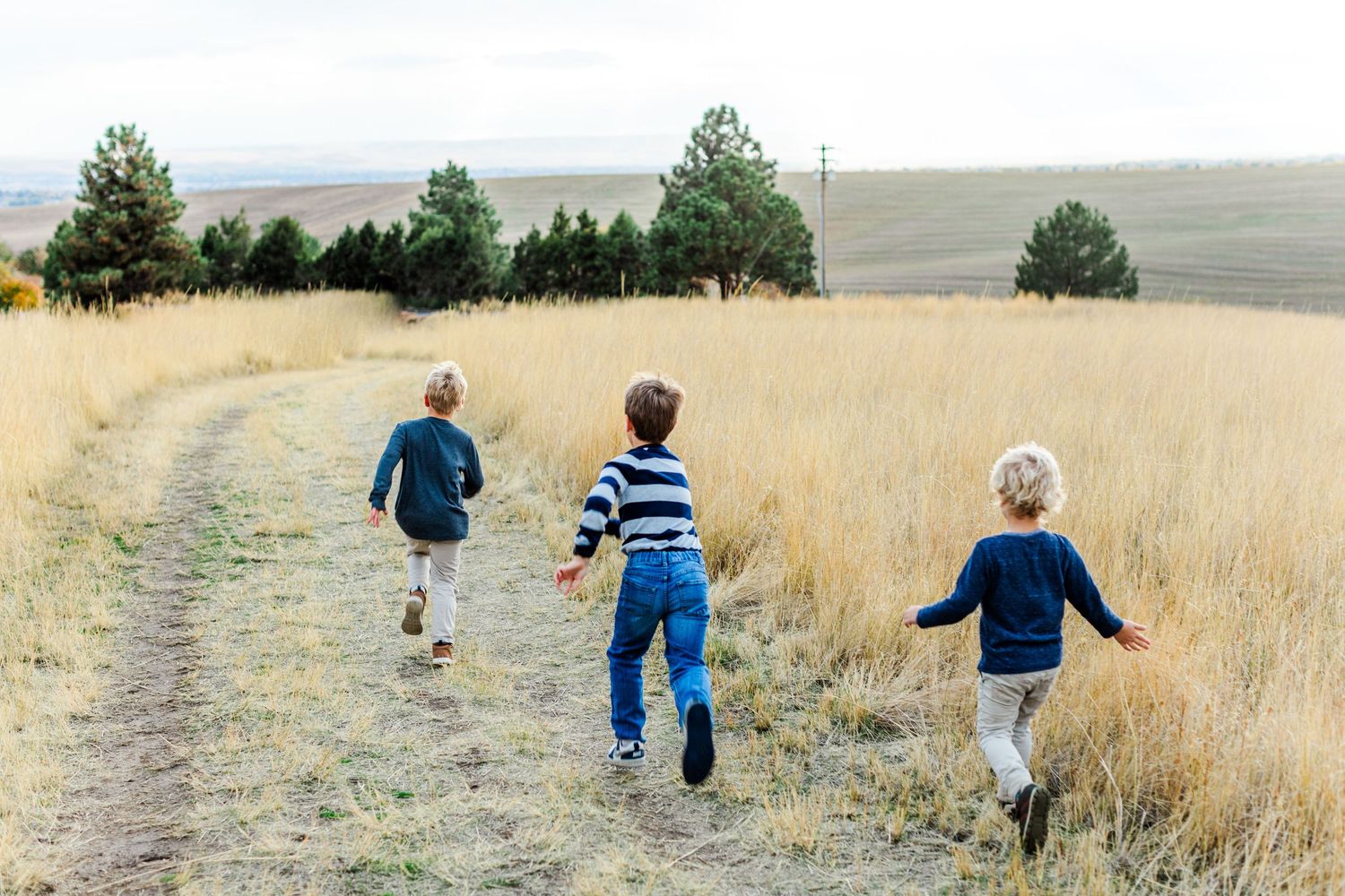Kids walk along a dirt path through tall golden grass on a sunny day.
