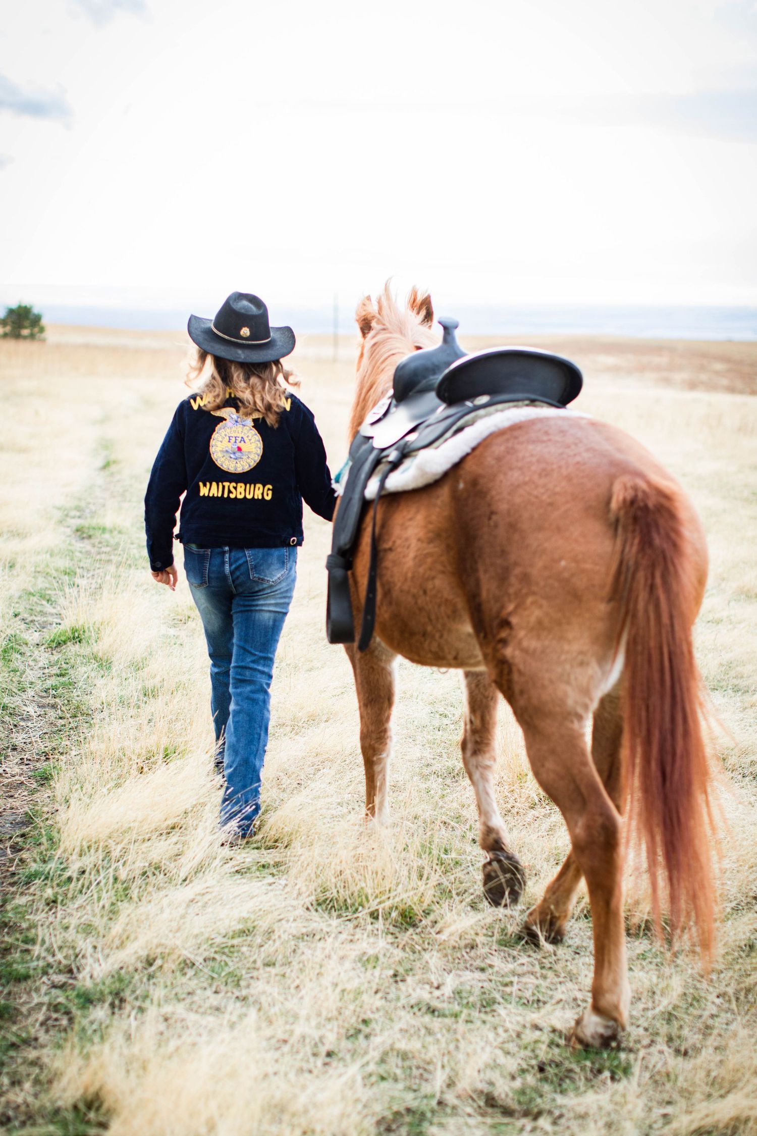 A series showing someone in western wear with a brown horse in a grassy field.
