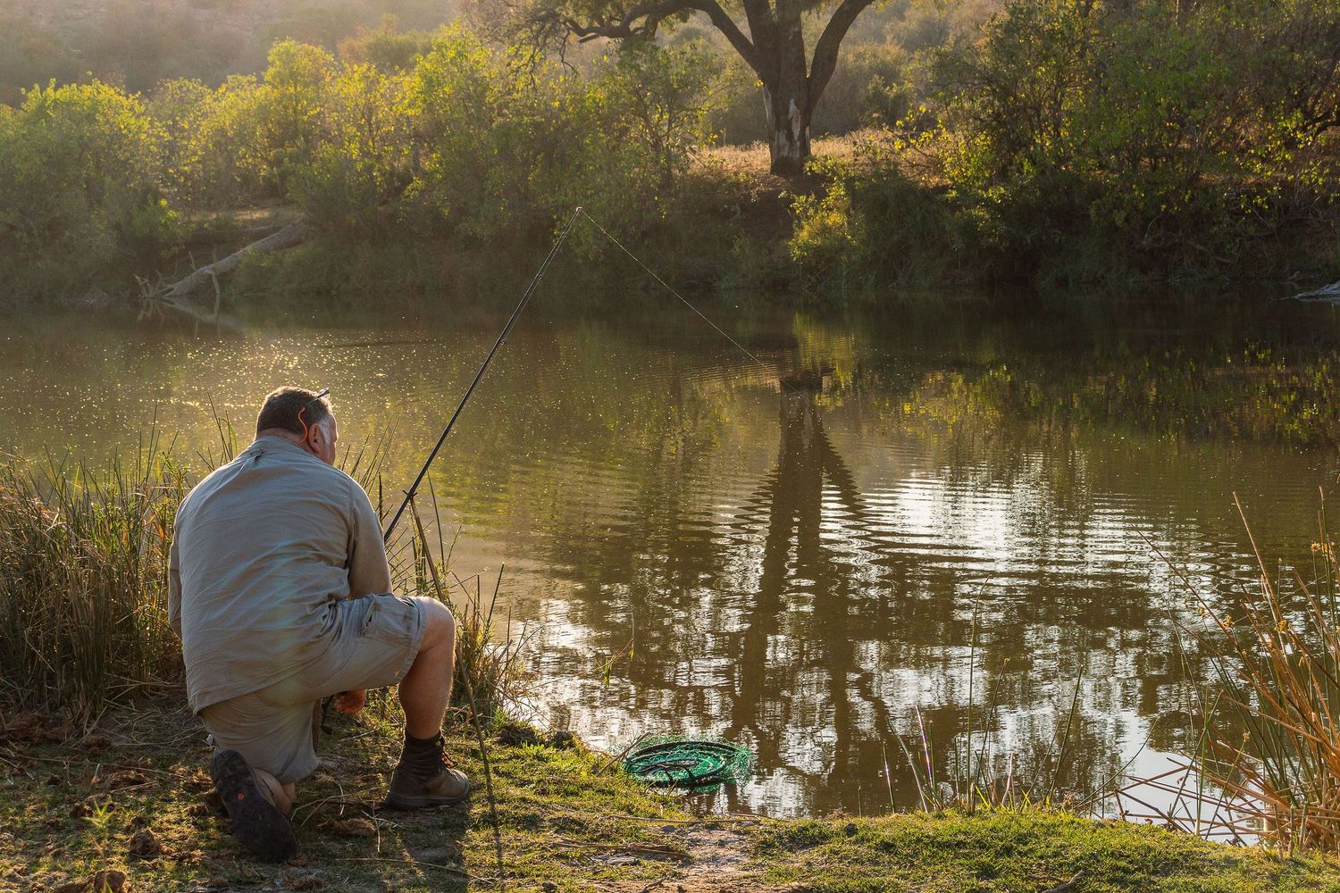 Kambaku II Boat Safaris & Lodge