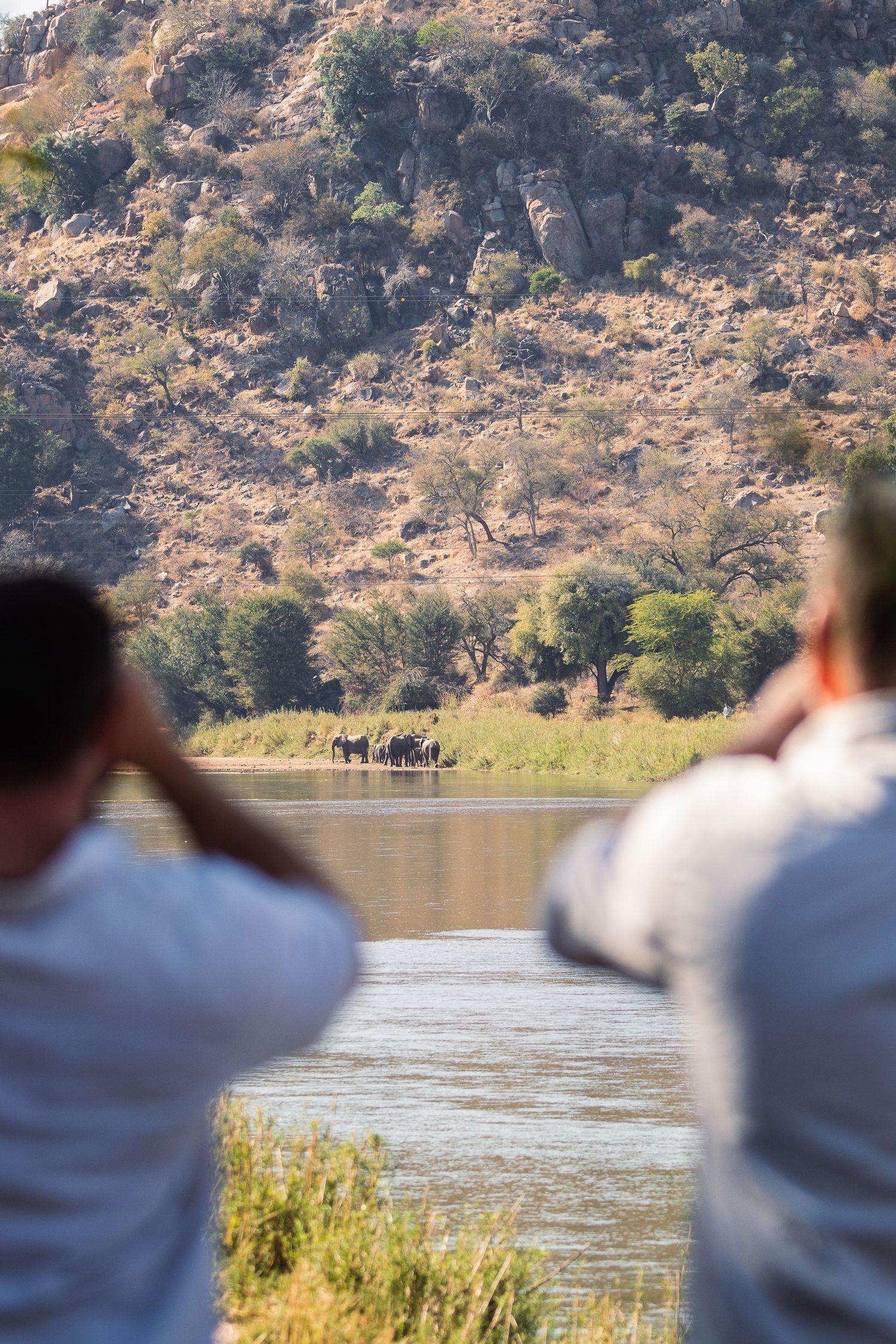 Kambaku II Boat Safaris & Lodge
