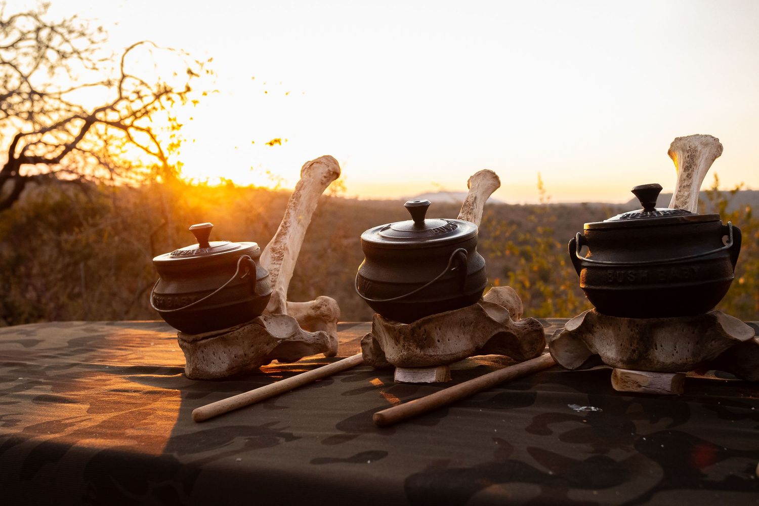 Kambaku II Boat Safaris & Lodge