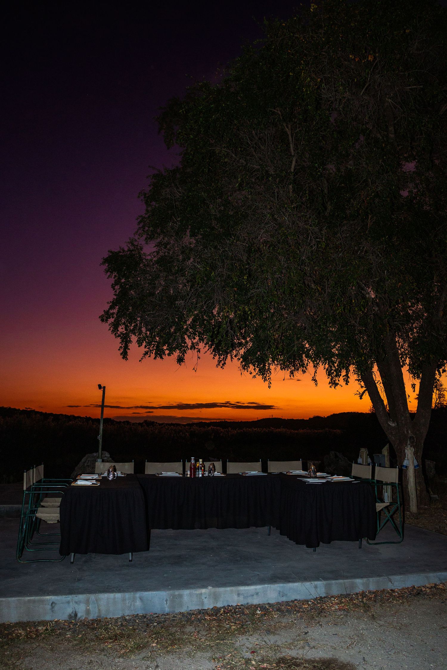Kambaku II Boat Safaris & Lodge