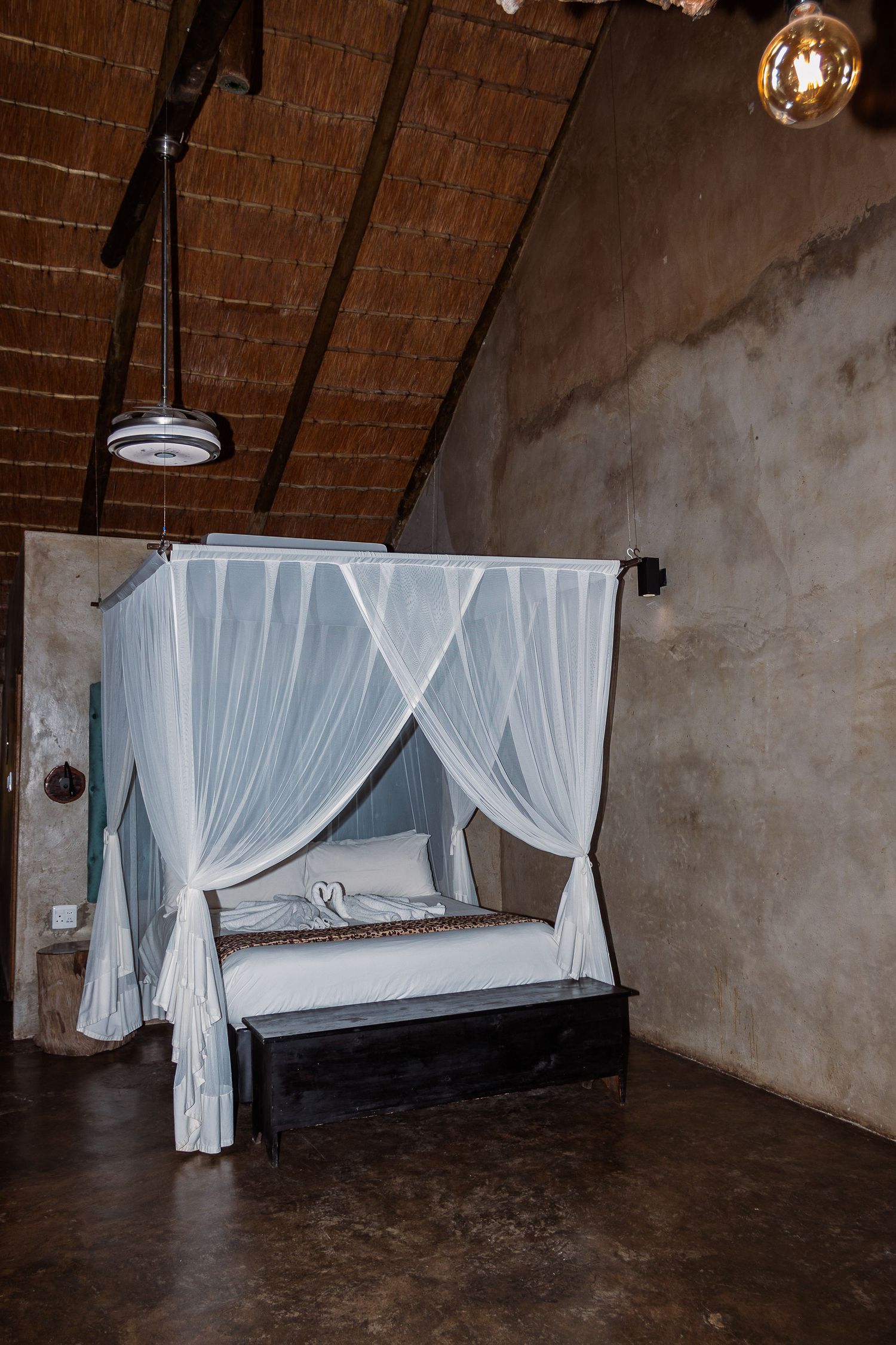 Kambaku II Boat Safaris & Lodge
