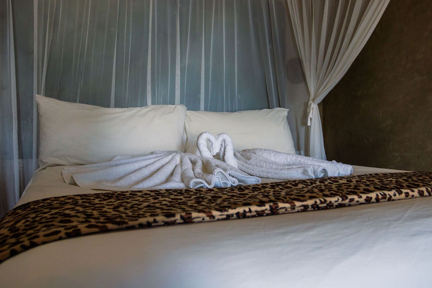 Kambaku II Boat Safaris & Lodge