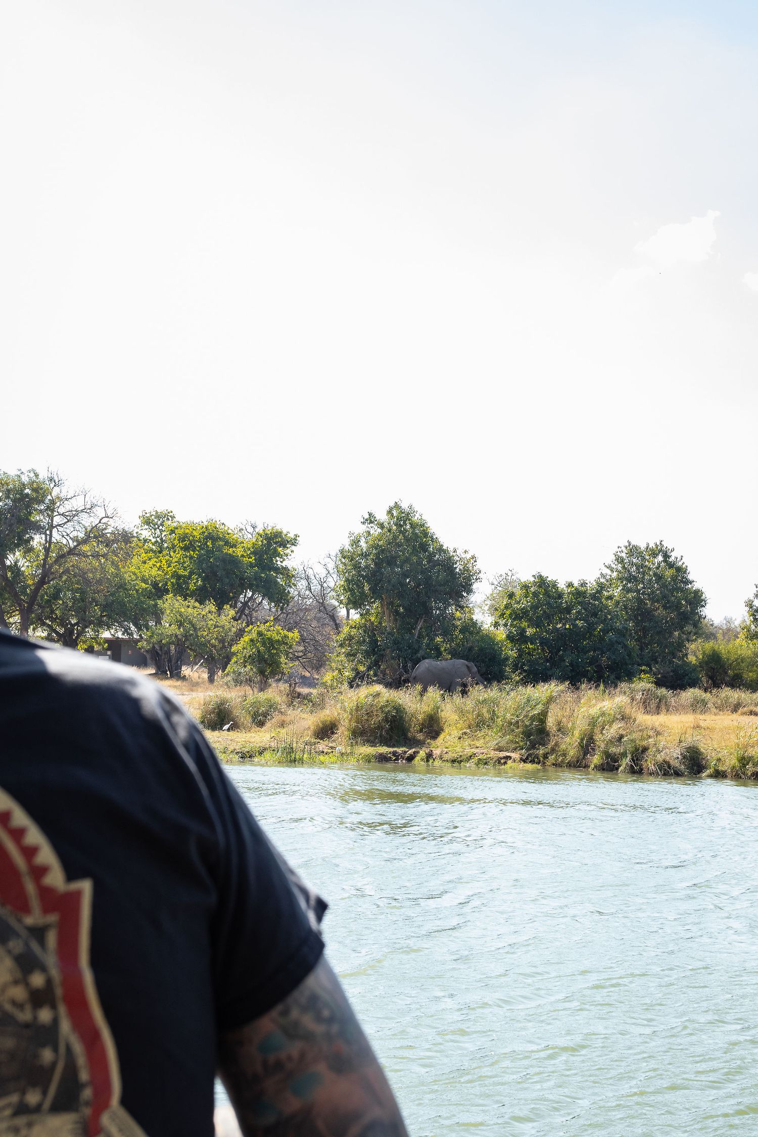 Kambaku II Boat Safaris & Lodge