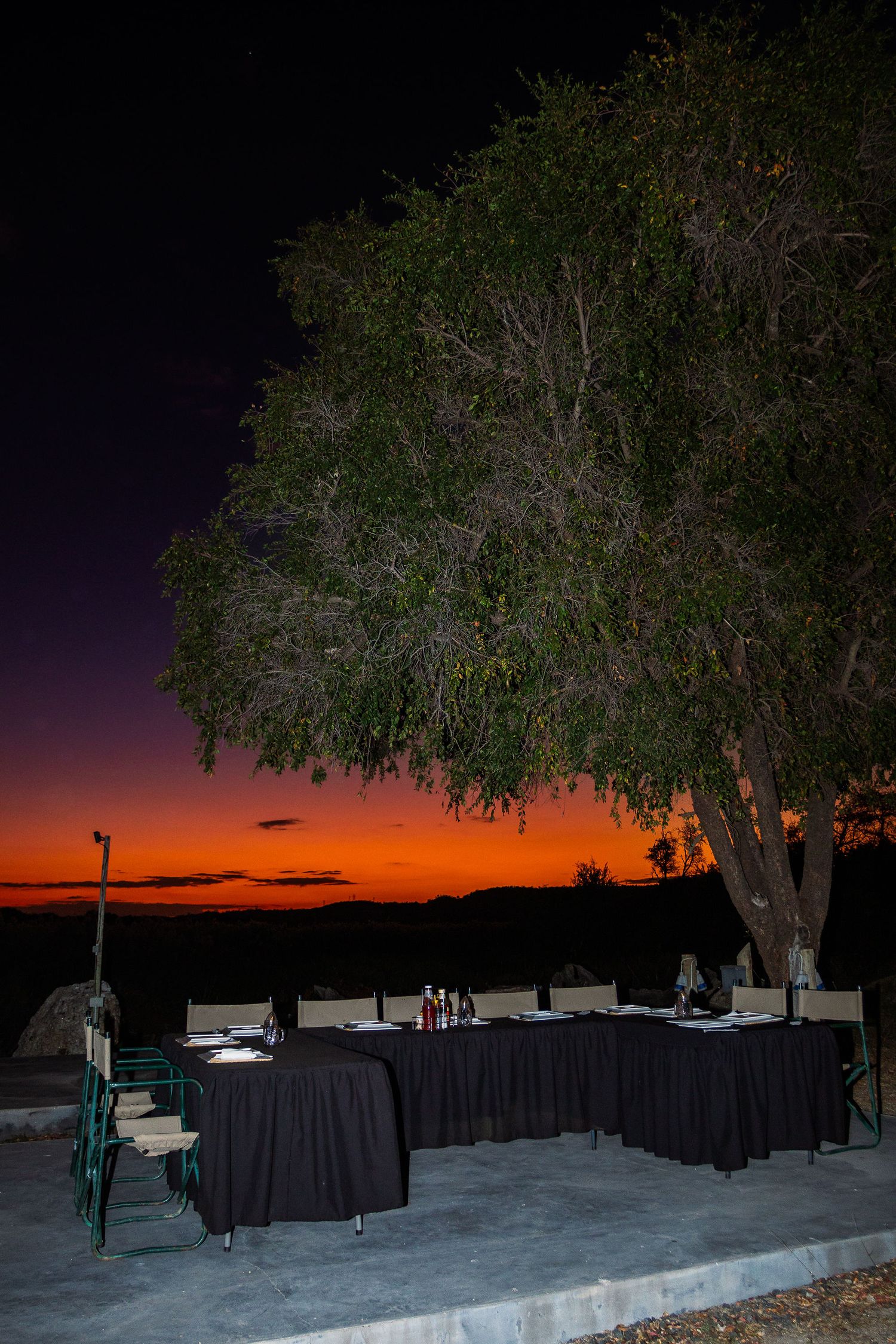 Kambaku II Boat Safaris & Lodge