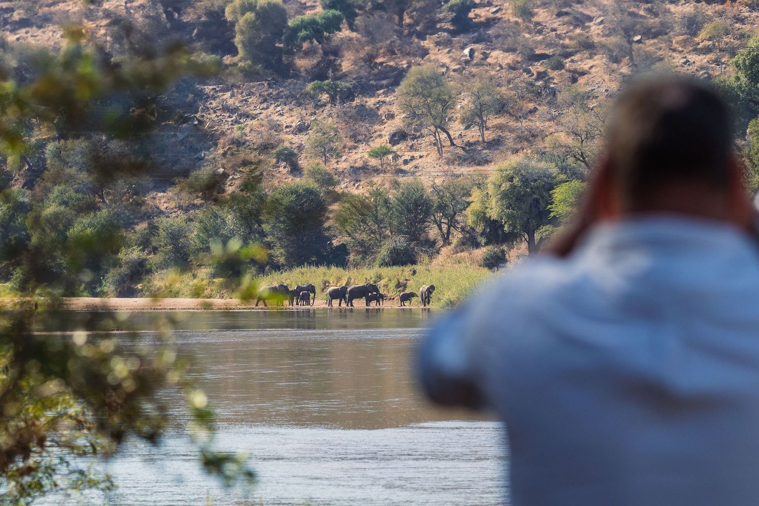 Kambaku II Boat Safaris & Lodge