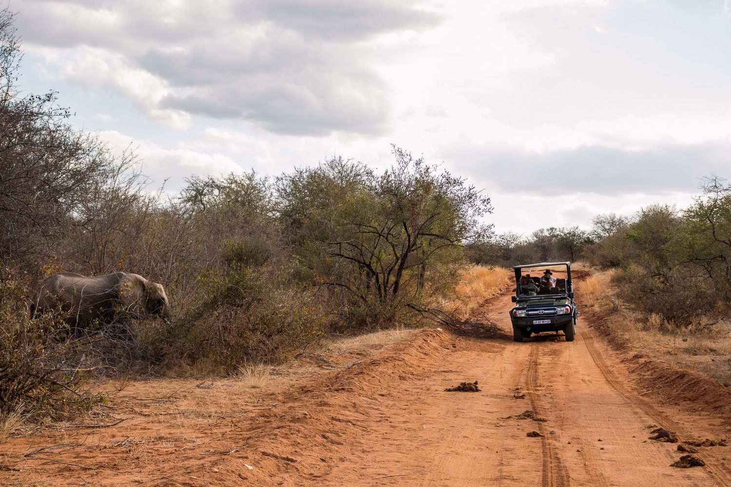 Kambaku II Boat Safaris & Lodge