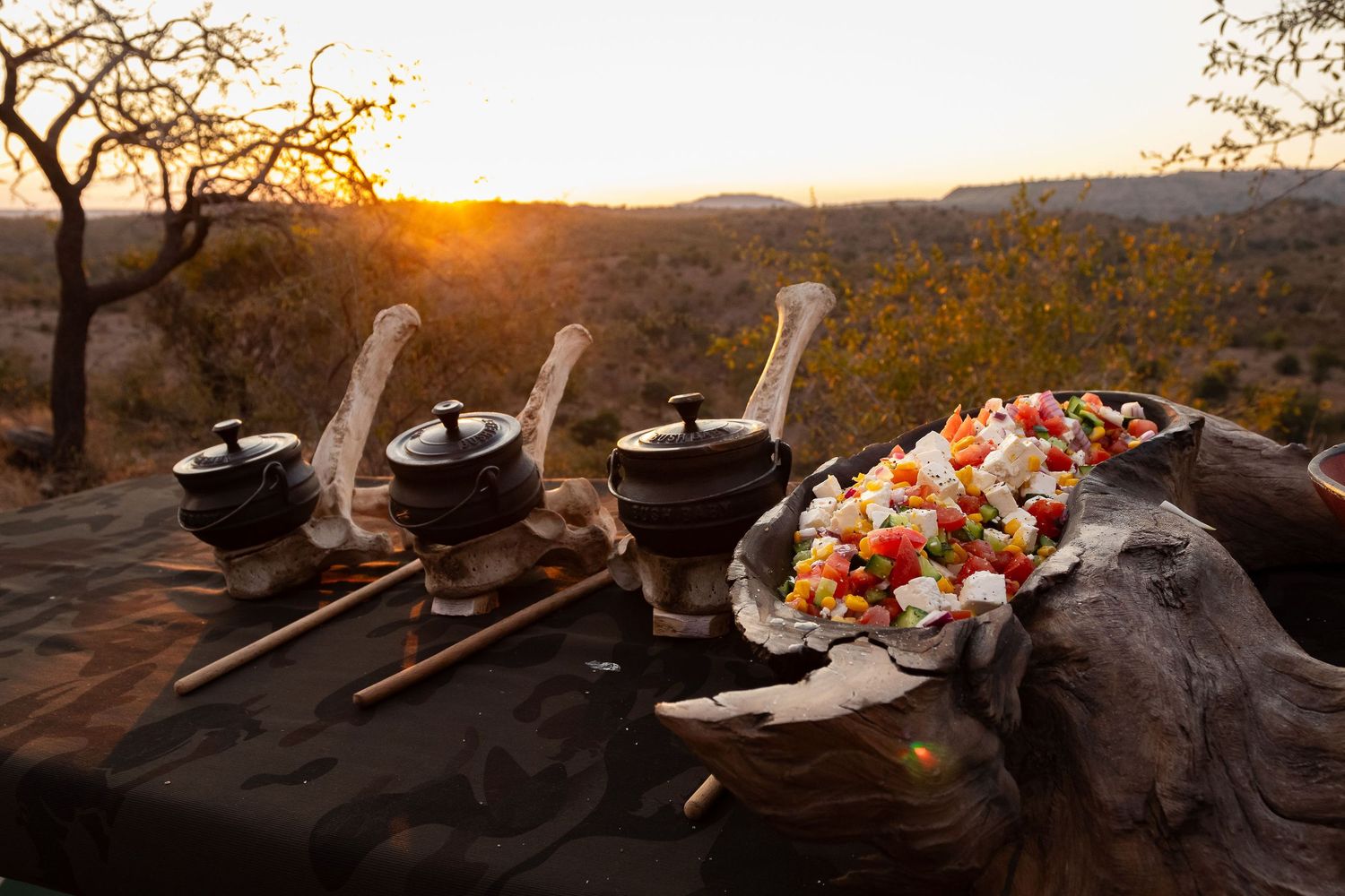Kambaku II Boat Safaris & Lodge