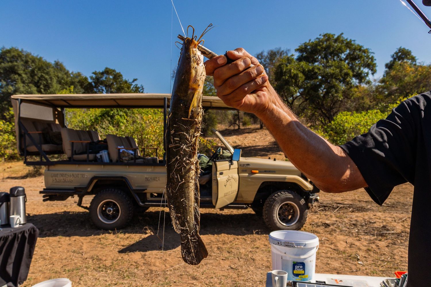 Kambaku II Boat Safaris & Lodge