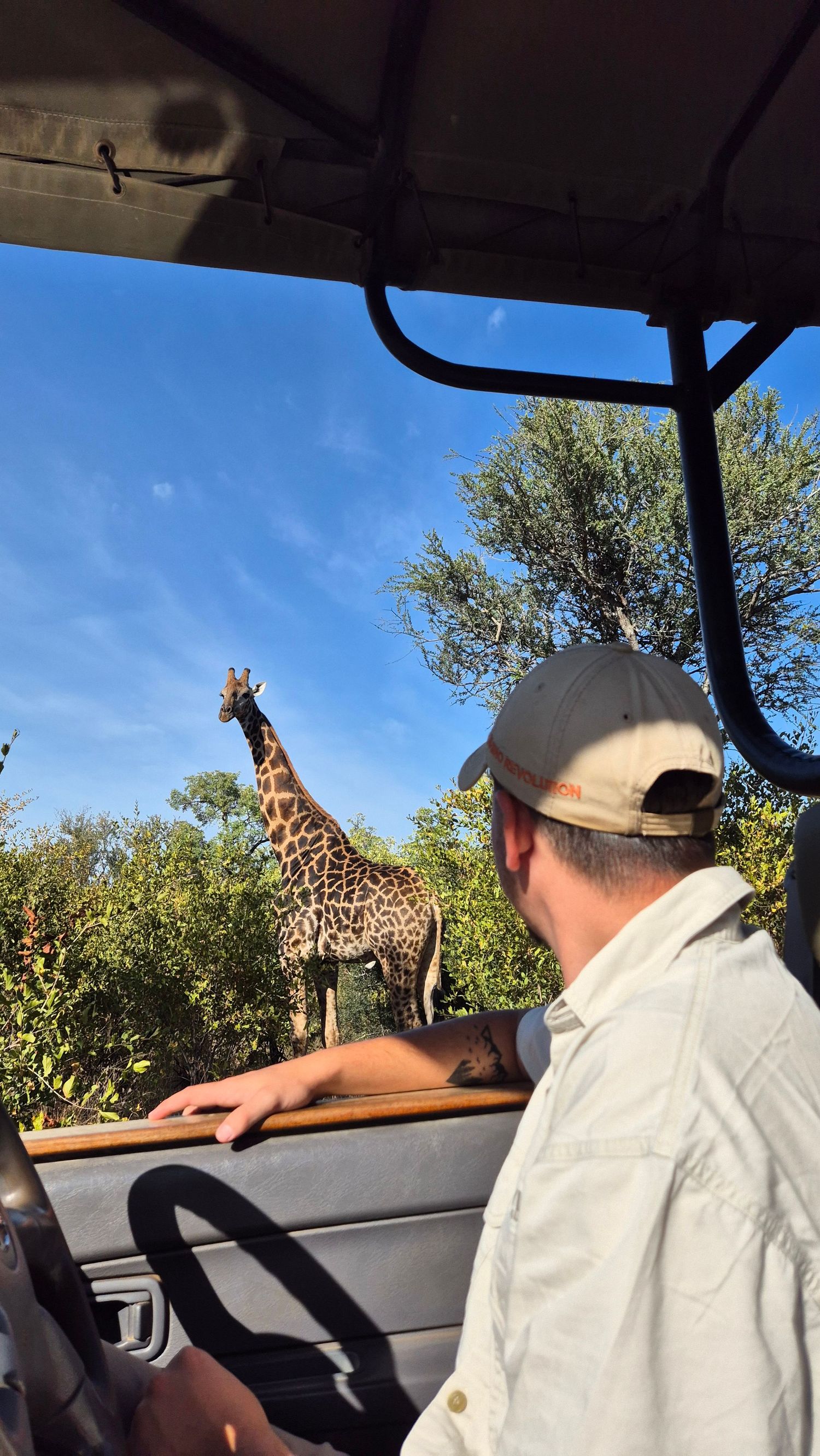 Kambaku II Boat Safaris & Lodge