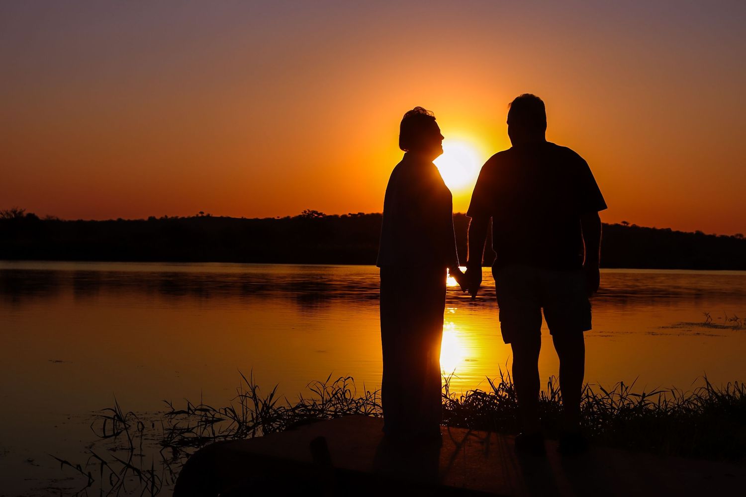 Kambaku II Boat Safaris & Lodge