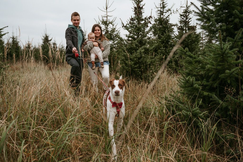 kerstminisessie, gezinsfotograaf, kerstbomen, kerstfotoshoot, melissa stuer photgraphy, wachtebeke, moerbeke fotograaf lokeren stekene gezin