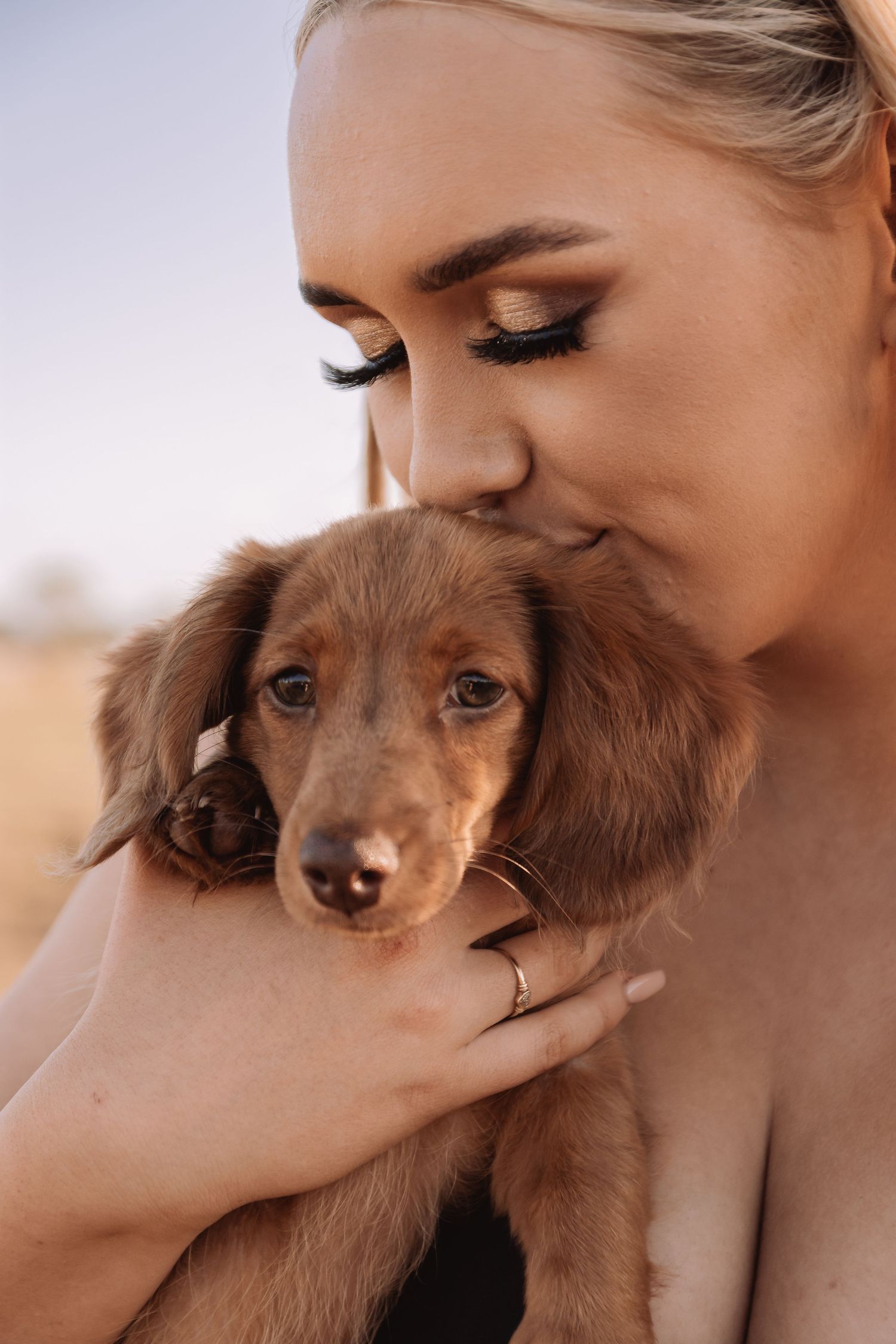 Mini Dachshund puppy