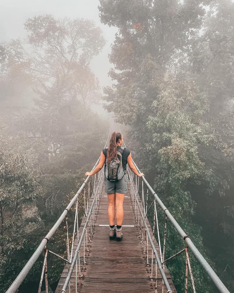 Hiker stands on foggy suspension bridge surrounded by misty forest canopy.