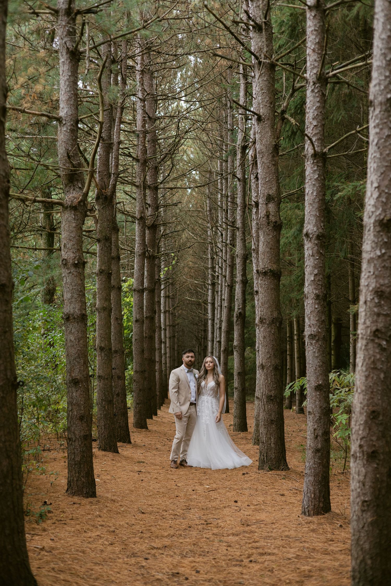 Bride and groom stand together in a symmetrical pine forest aisle, posing for wedding portraits.