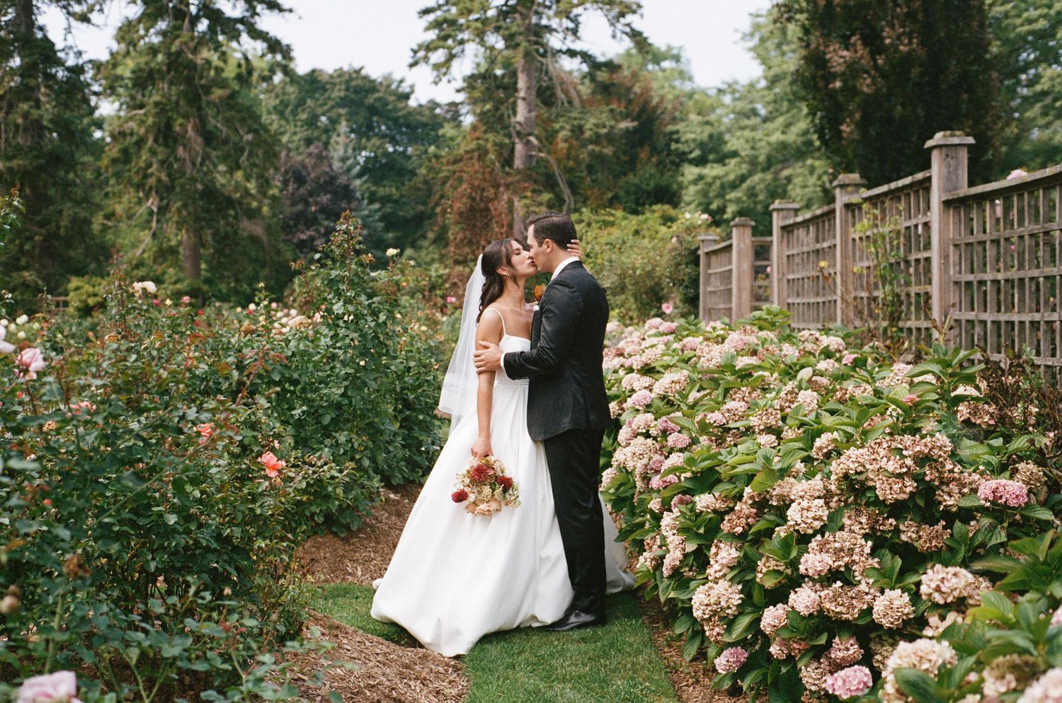 Bride and groom sharing romantic kiss in lush garden surrounded by blooming roses and hydrangeas.
