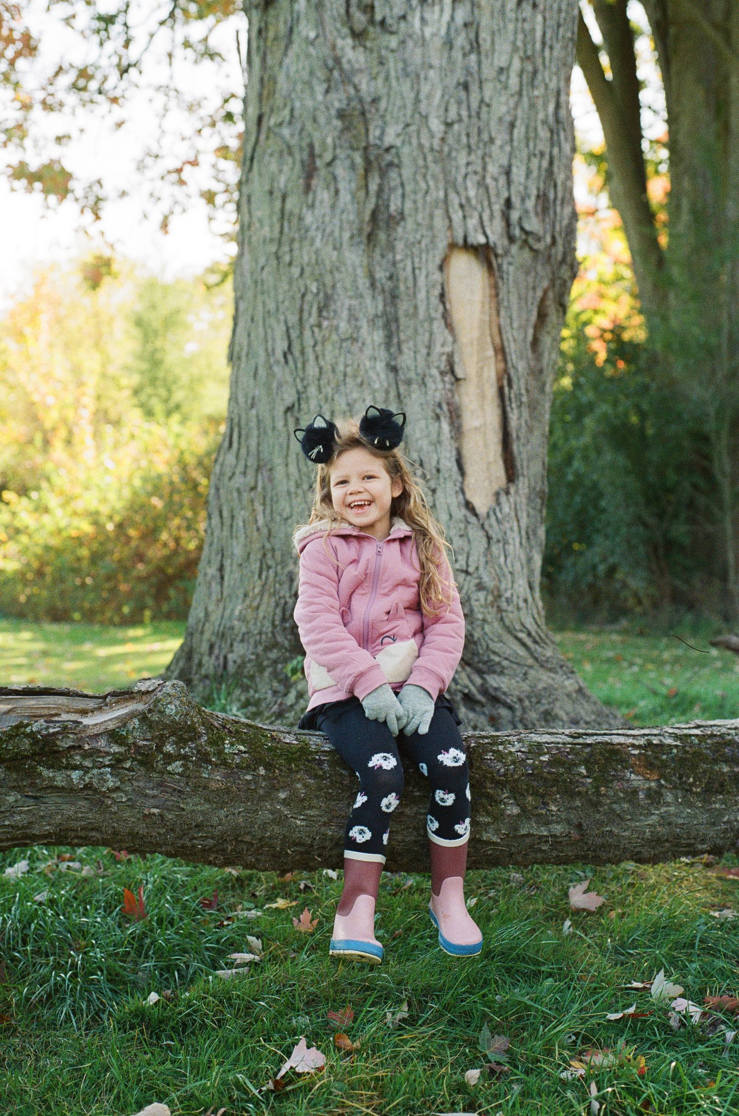Smiling young girl in a pink jacket, black bows and rain boots sits on a fallen log beside a large tree on a sunny autumn day.