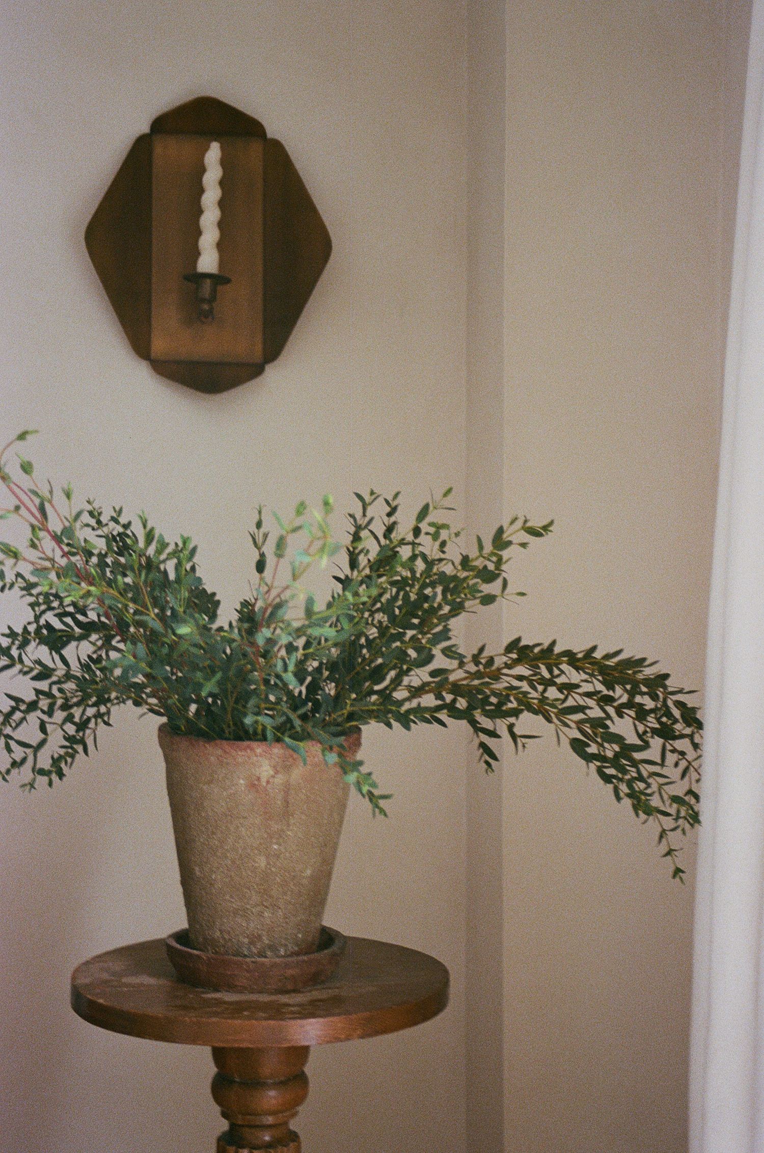Rustic terracotta pot with lush green plant on wooden pedestal table below wall sconce.