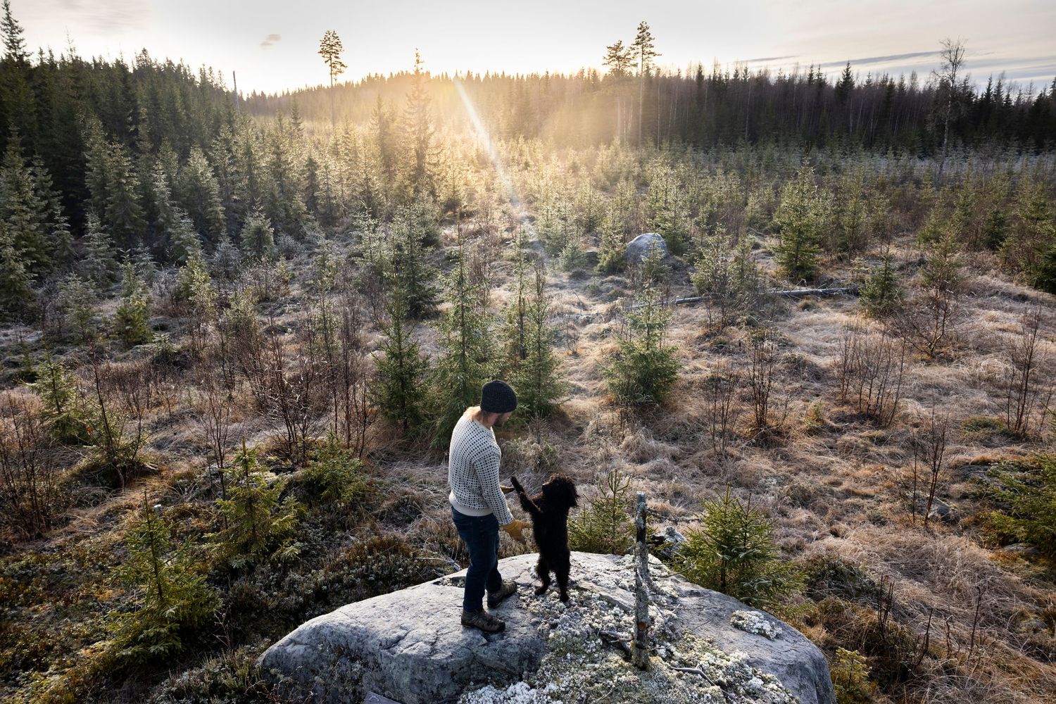 Two people standing on a rock overlooking a vast pine forest at golden sunset.