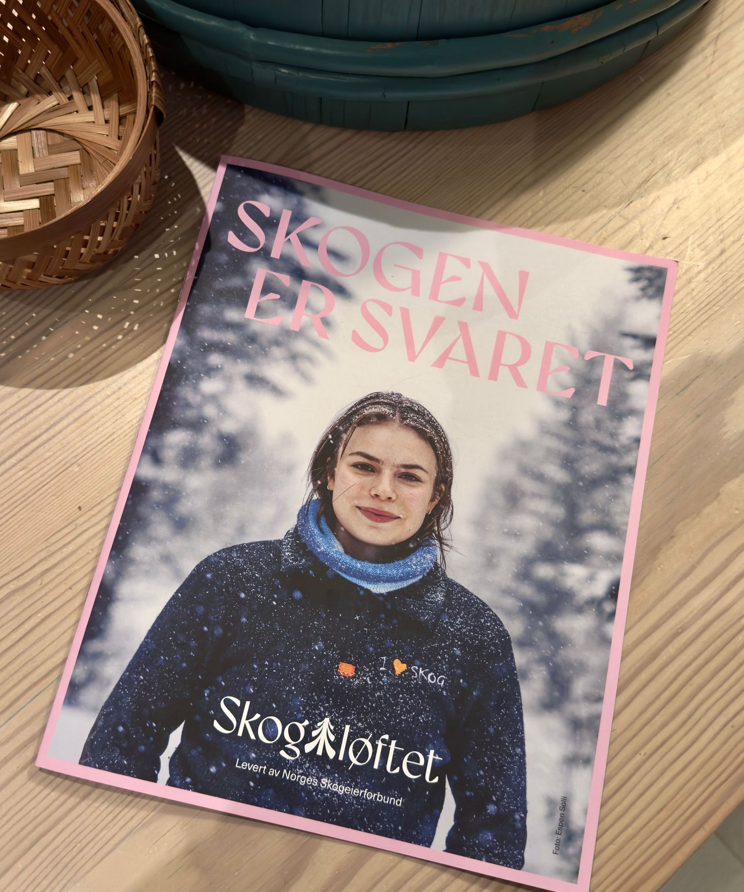 Skogeierne Viil