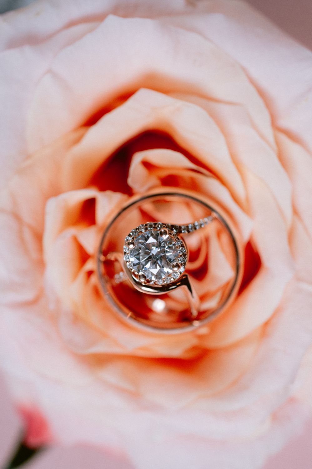 A sparkling diamond engagement ring nestled in the center of a soft peach-colored rose bloom.