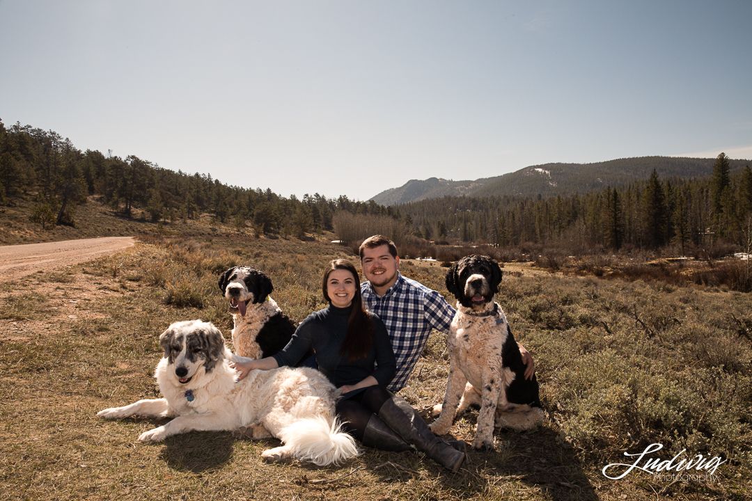 Engaged couple in Yellow Pine, Happy Jack Recreational area, Medicine Bow National Forest, Laramie, Wyoming with their dogs on a sunny day.