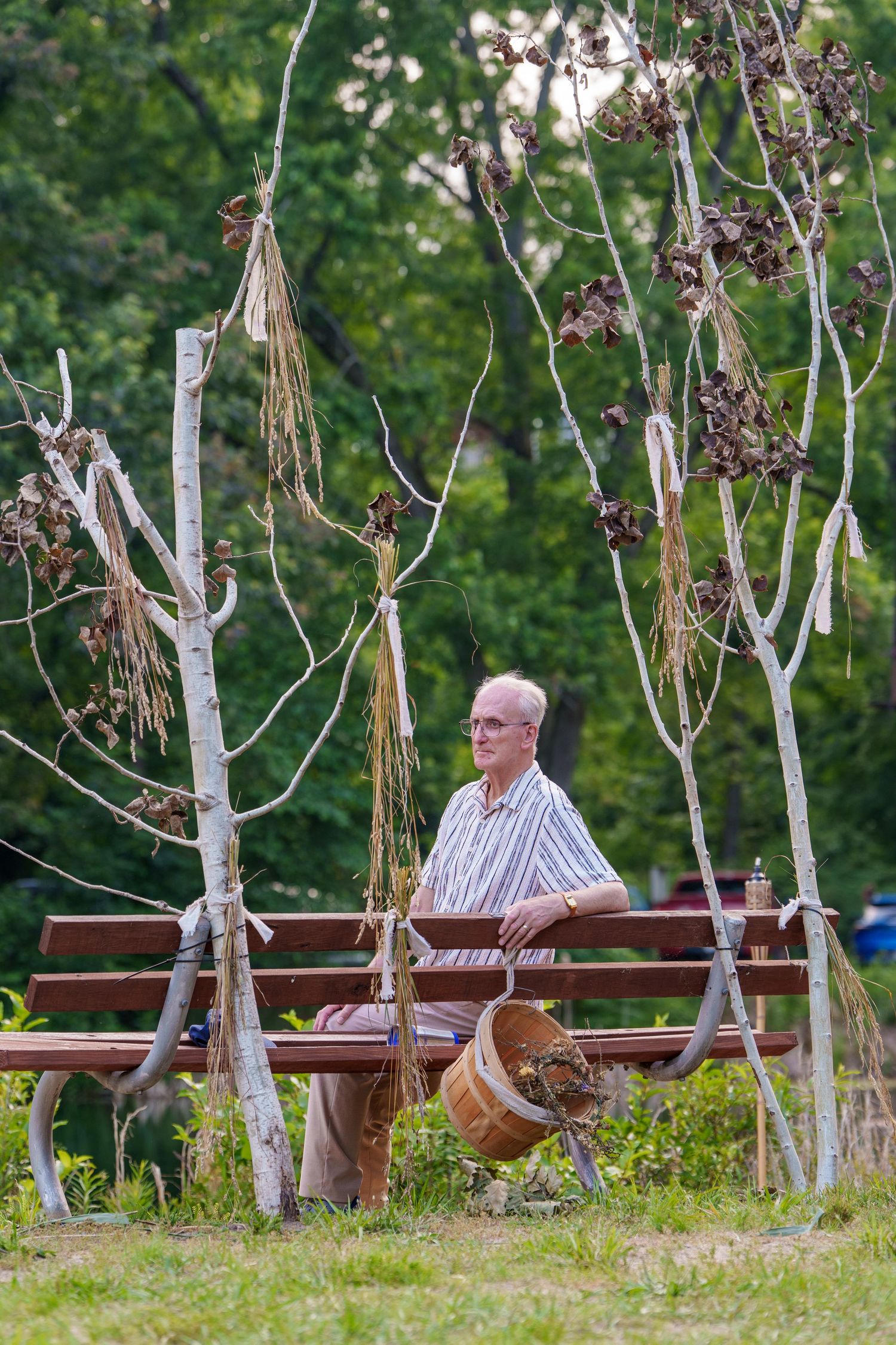 Elderly man with glasses sits alone on wooden bench surrounded by decorated birch trees in a park.