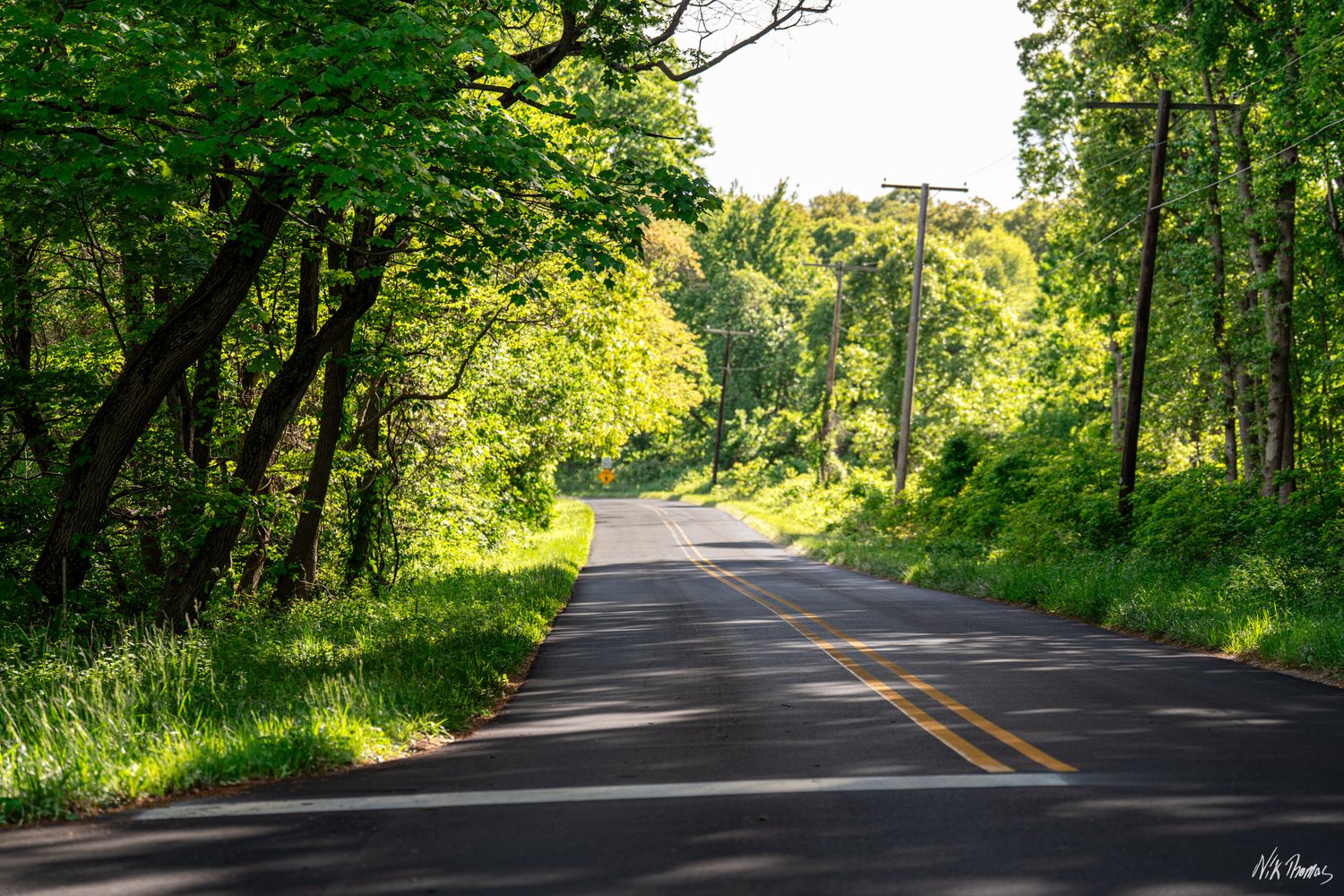 A scenic two-lane road winds through lush green summer forest with sunlight filtering through the tree canopy.