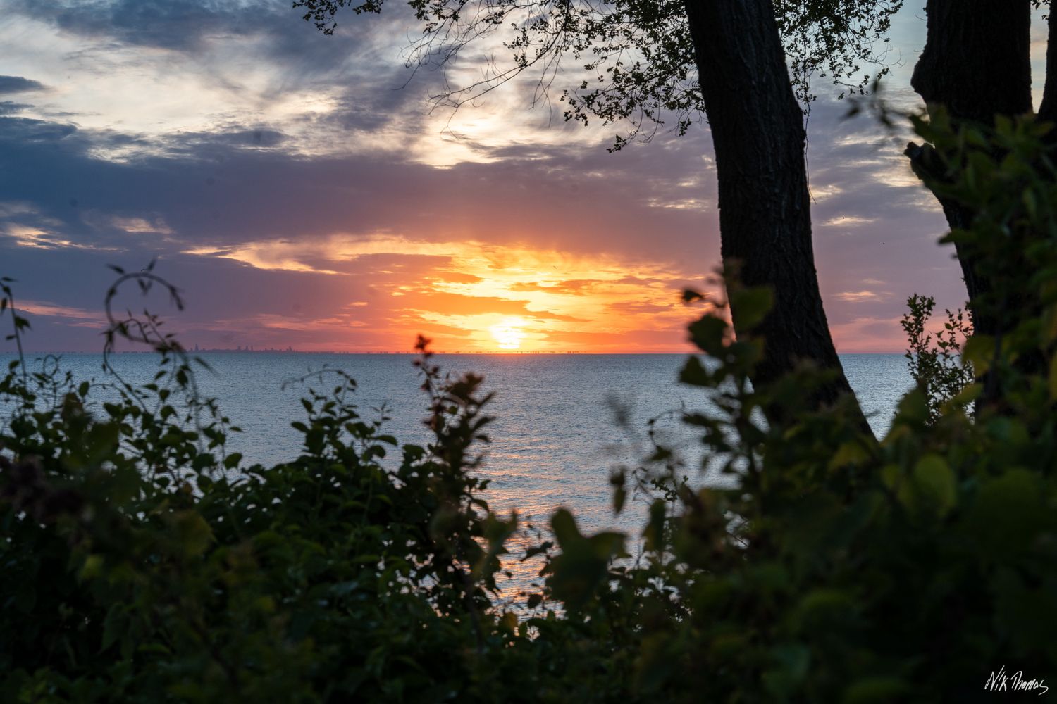 Vibrant sunset over calm ocean waters framed by lush green trees and dramatic colorful clouds.