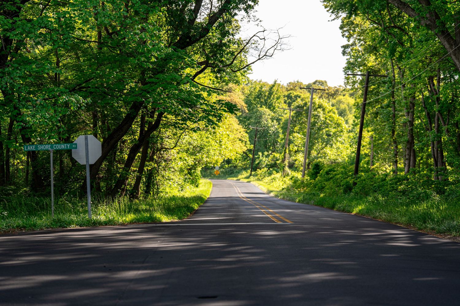 A scenic two-lane road winds through lush green trees on a bright summer day in a rural countryside setting.