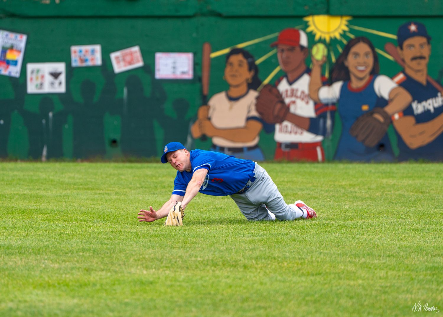 Baseball outfielder in blue uniform makes a diving catch on the grass field.