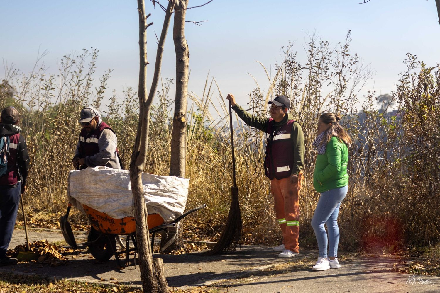 Workers cleaning outdoor area with wheelbarrow and brooms near dry brush and trees on a sunny day.
