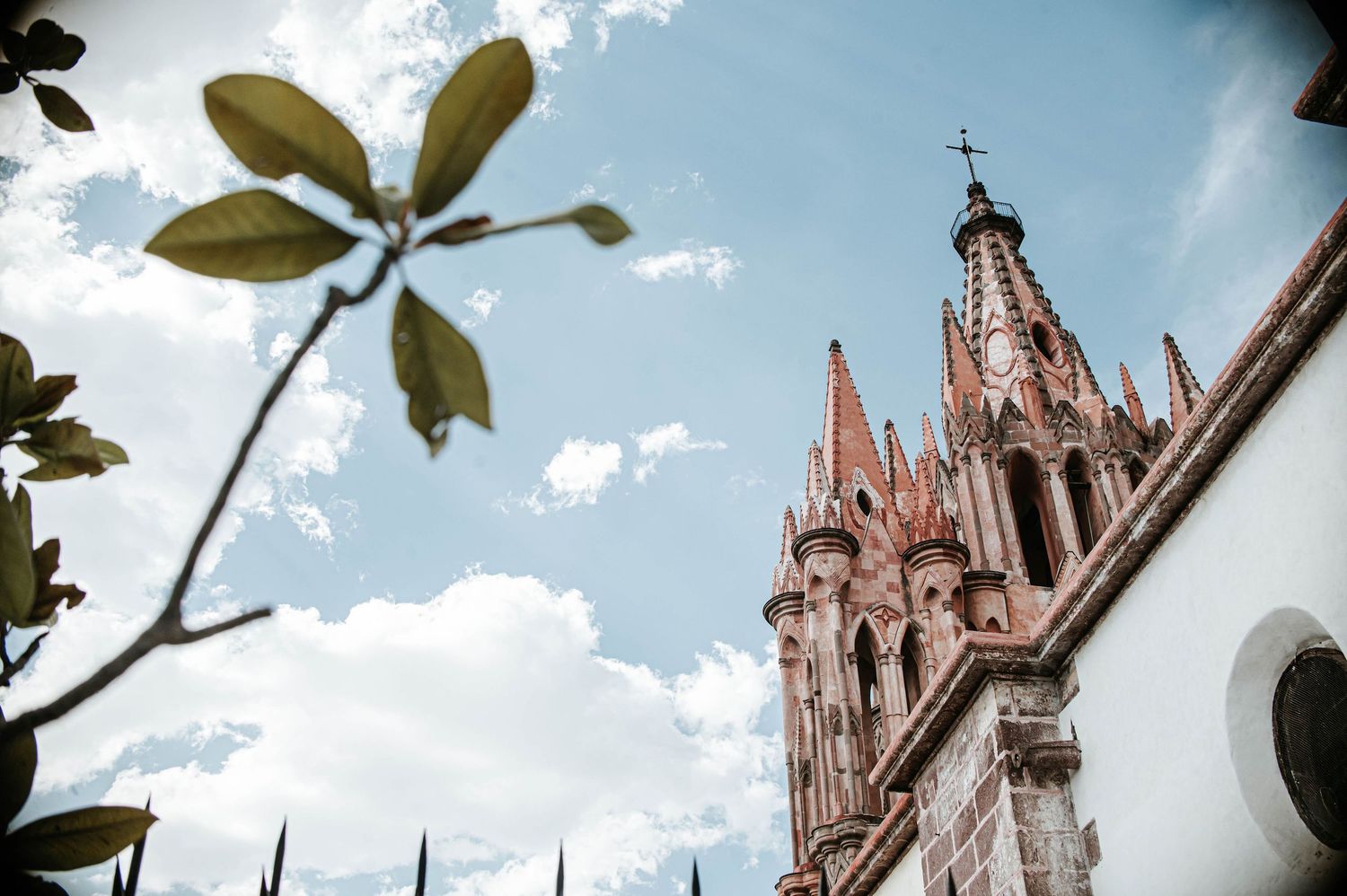 Pink Gothic church tower with clock rises above white walls under blue sky, framed by green leaves in San Miguel de Allende.