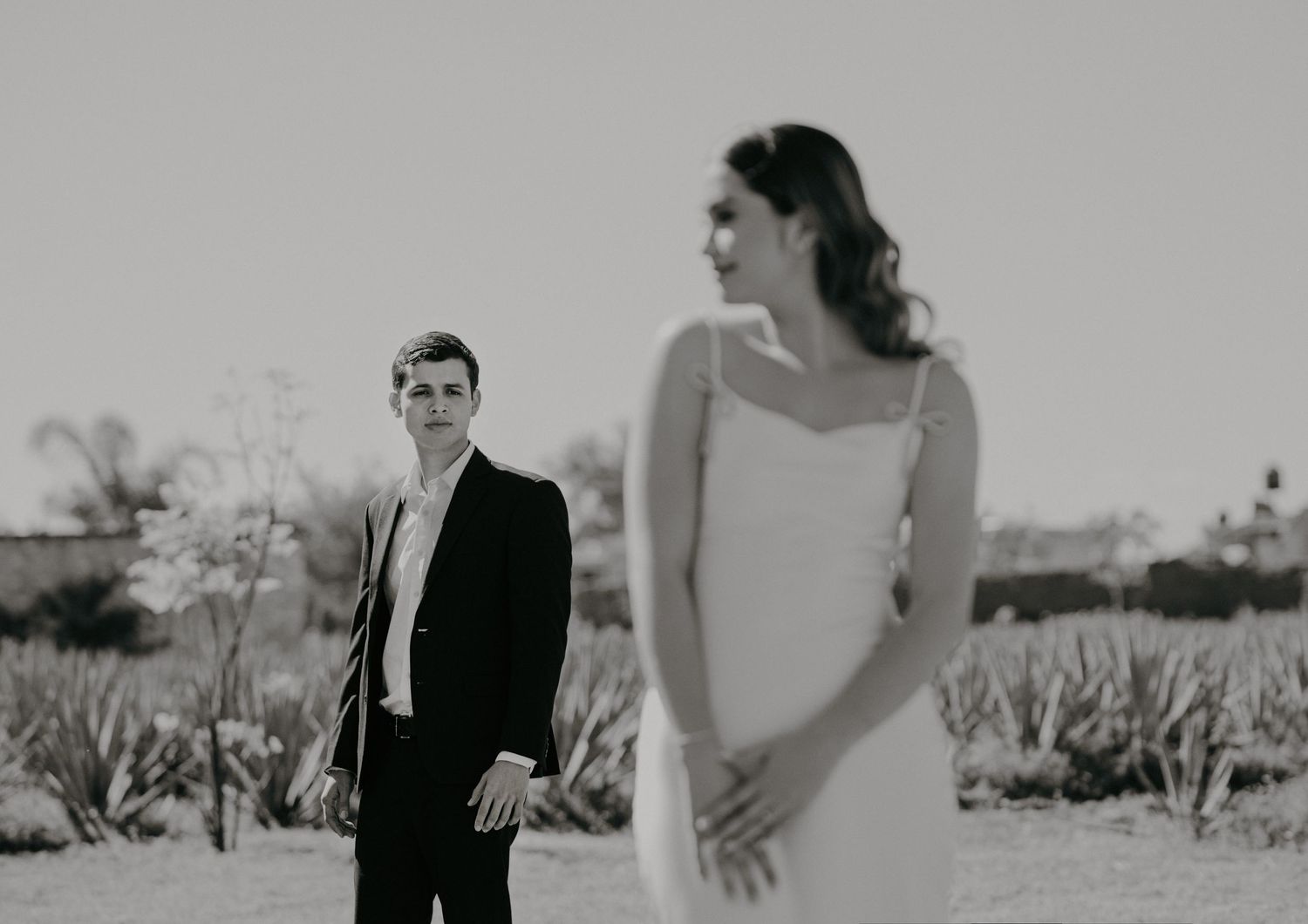 Black and white wedding photo of groom in suit gazing at bride in white dress outdoors among desert plants.