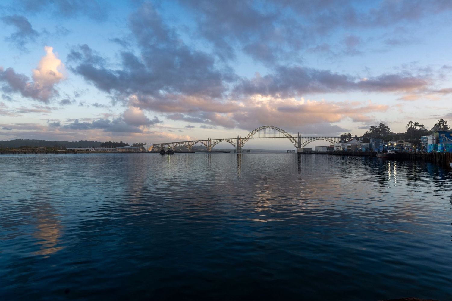 Large bridge over harbor