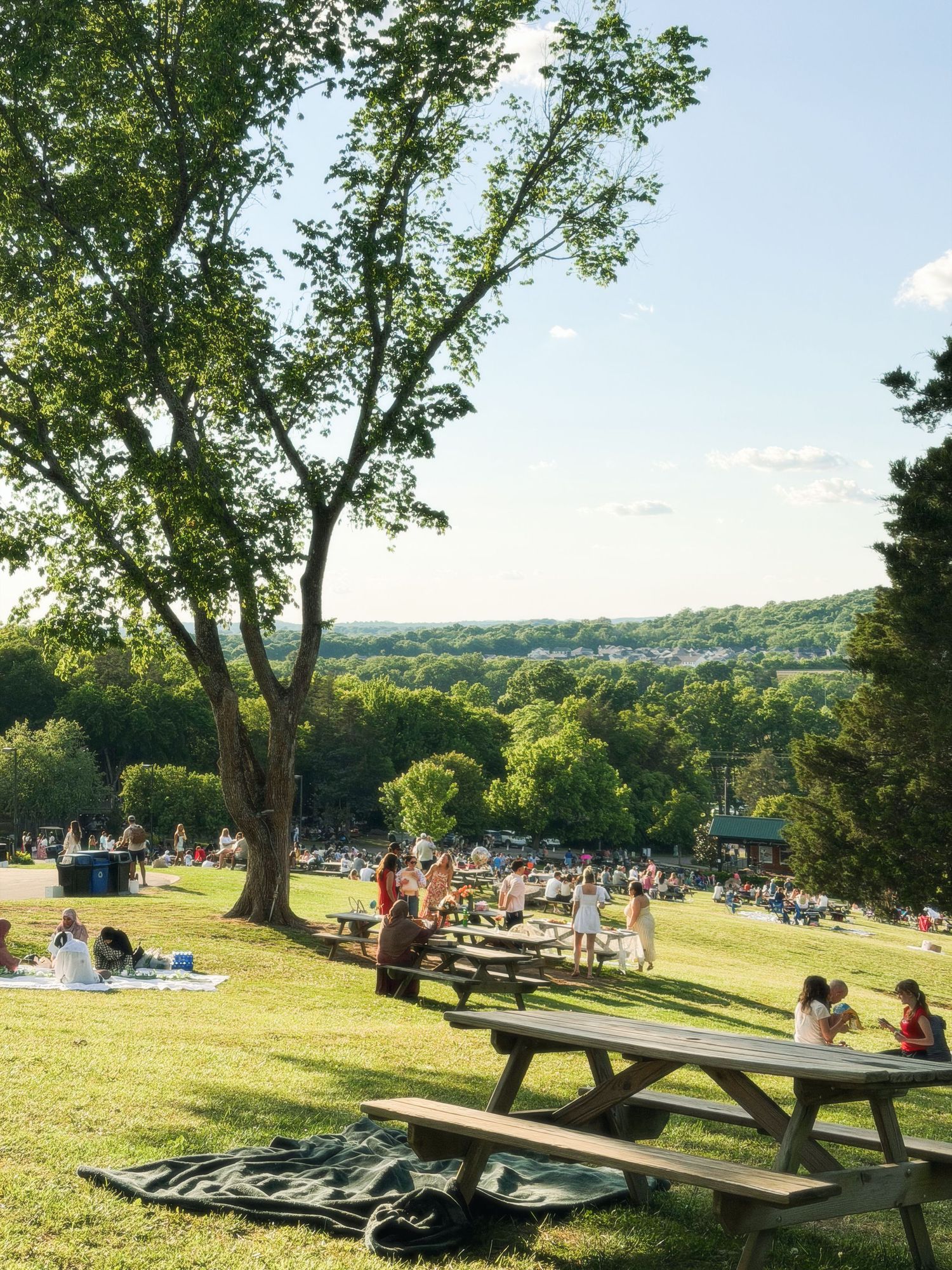 People enjoying a sunny day at picnic tables on a green hillside with tree-lined views.