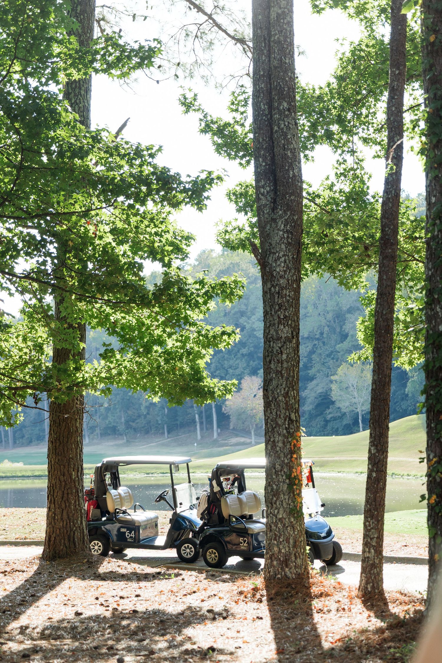 Golf carts parked among tall trees on a scenic golf course with green fairway visible in background.