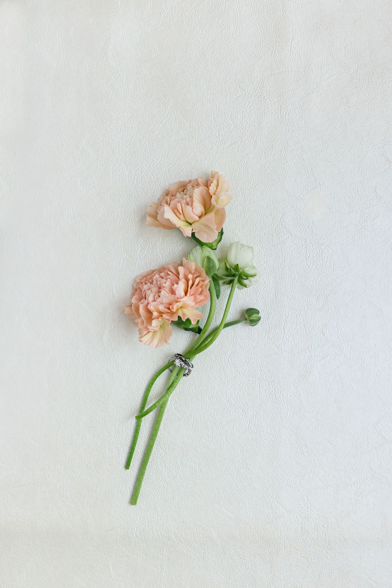 Two peach carnations with green stems tied with a silver ring on a white textured background.