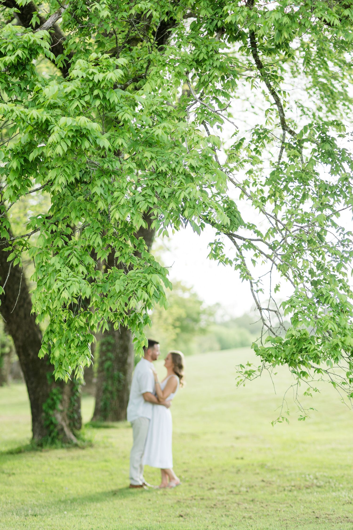 Romantic couple standing close together beneath large green trees in a serene park setting.