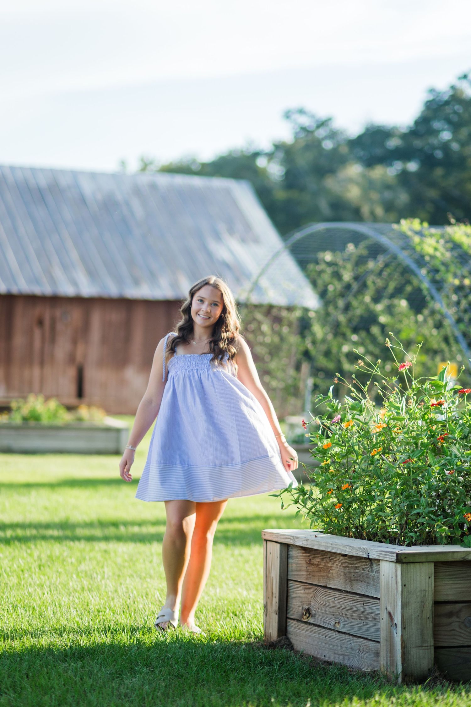 Young woman in light blue sundress walking near raised garden bed with flowers and rustic barn in background.