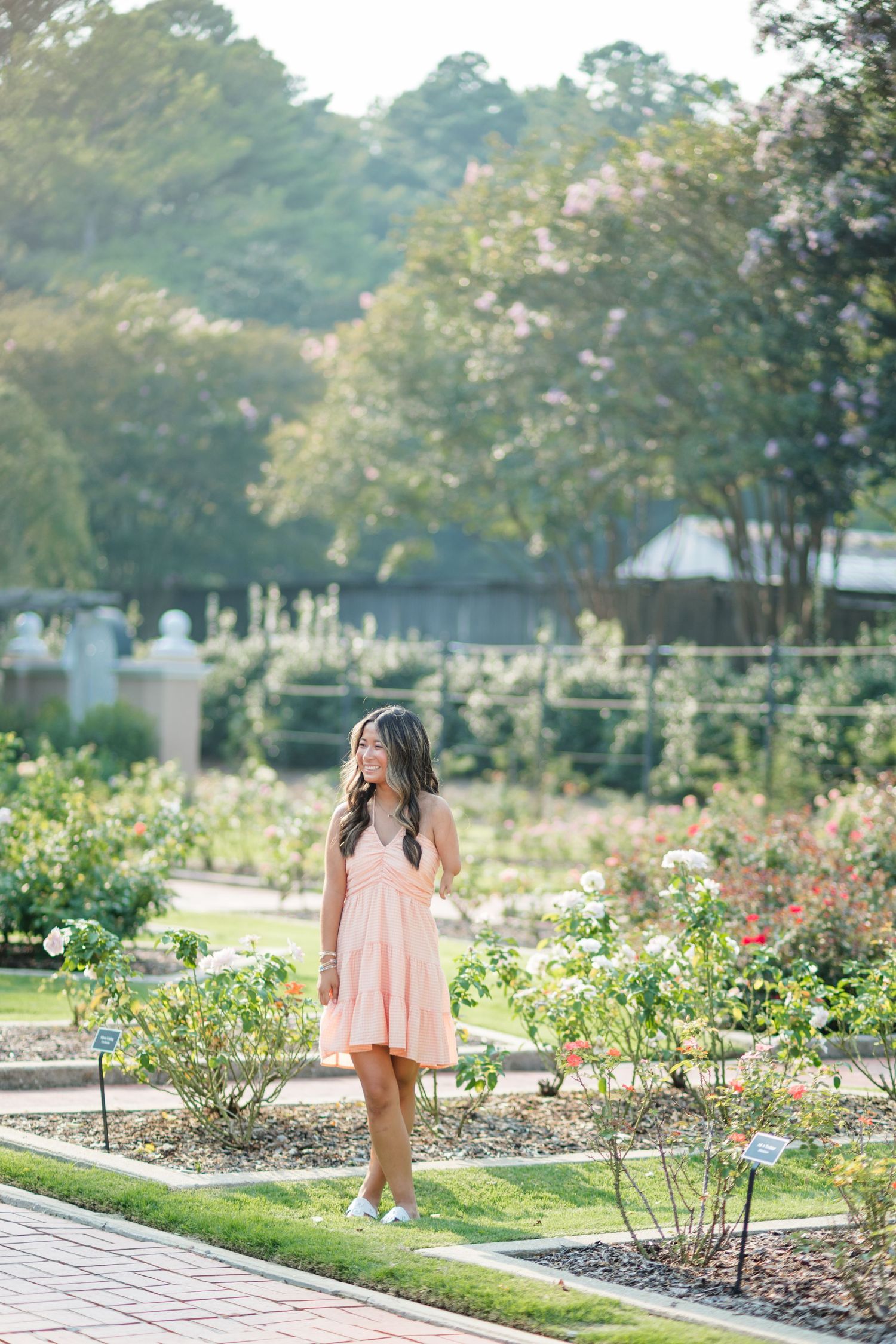 Young woman in pink dress walking through a beautiful rose garden on a sunny day.