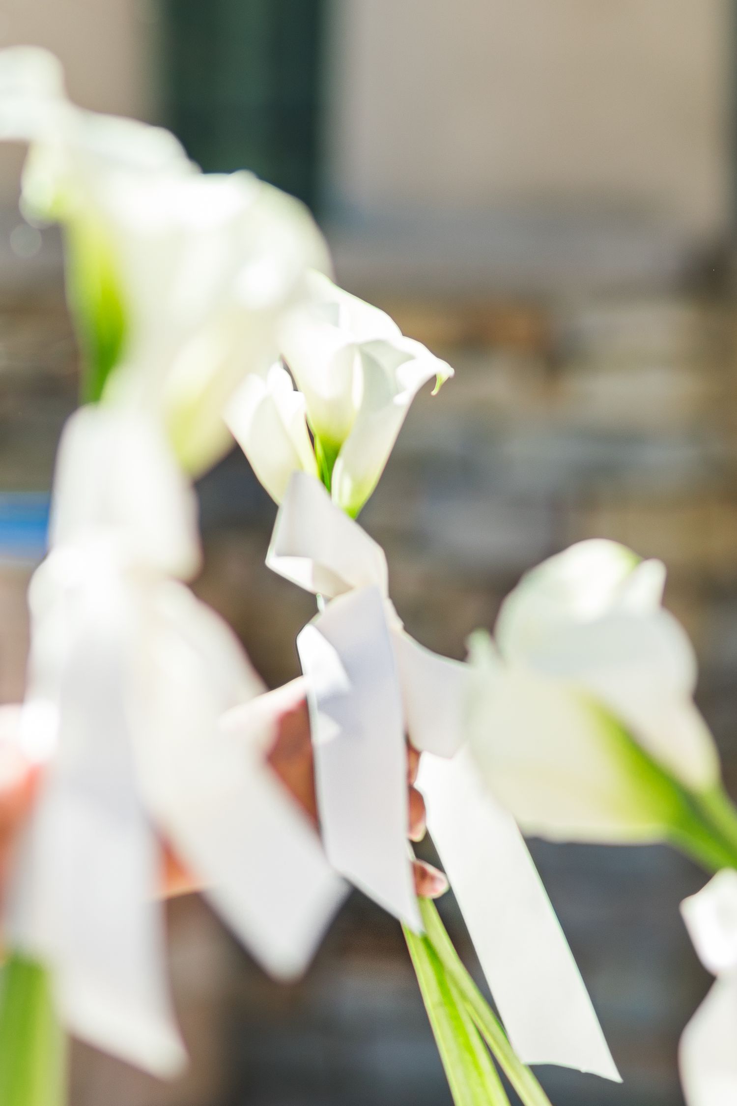 White calla lilies with elegant white ribbons held outdoors in bright sunlight at a wedding ceremony.