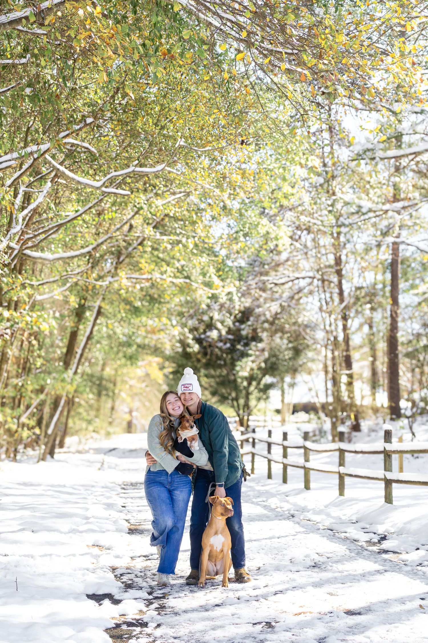 Couple with brown dog posing on snowy tree-lined path in winter wonderland landscape.