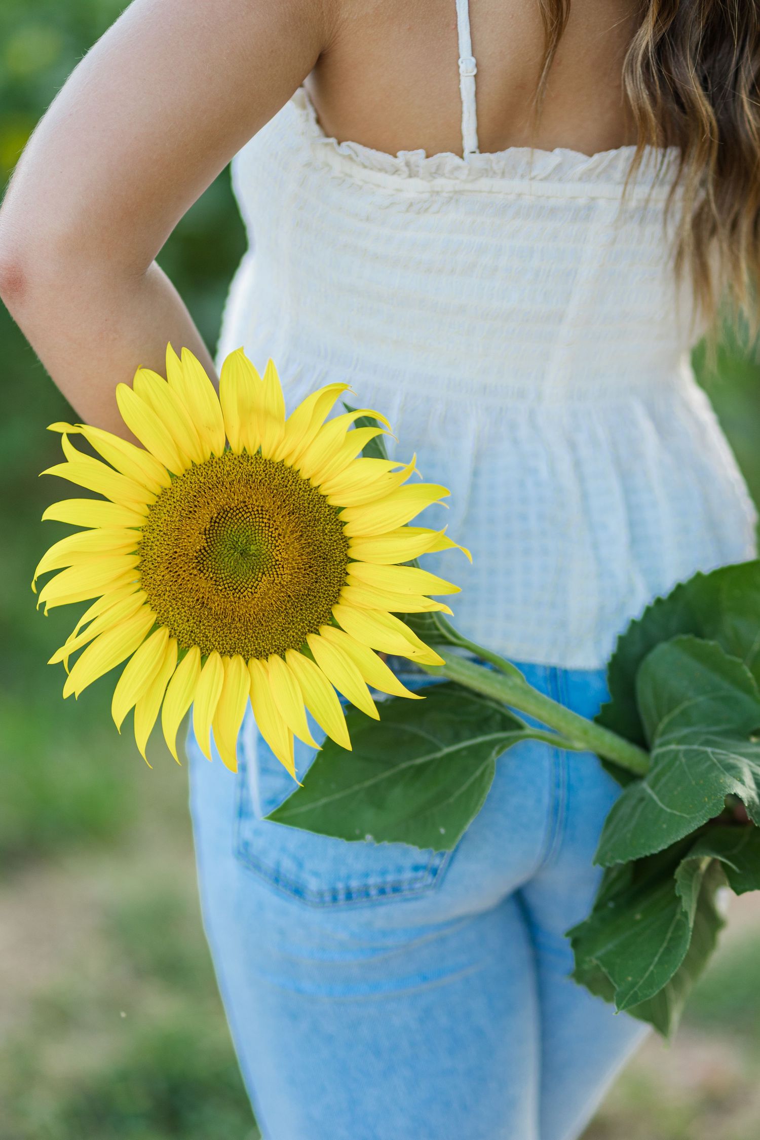 Young woman in white top and blue jeans holding a bright yellow sunflower behind her back outdoors.
