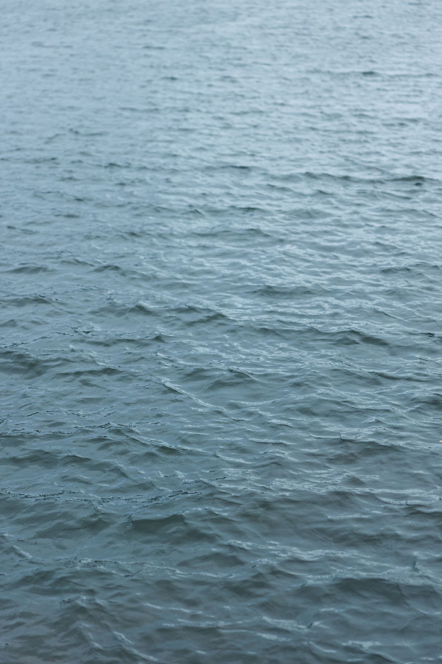 Gentle ripples move across the calm blue-gray surface of a lake in a close-up water texture photo.