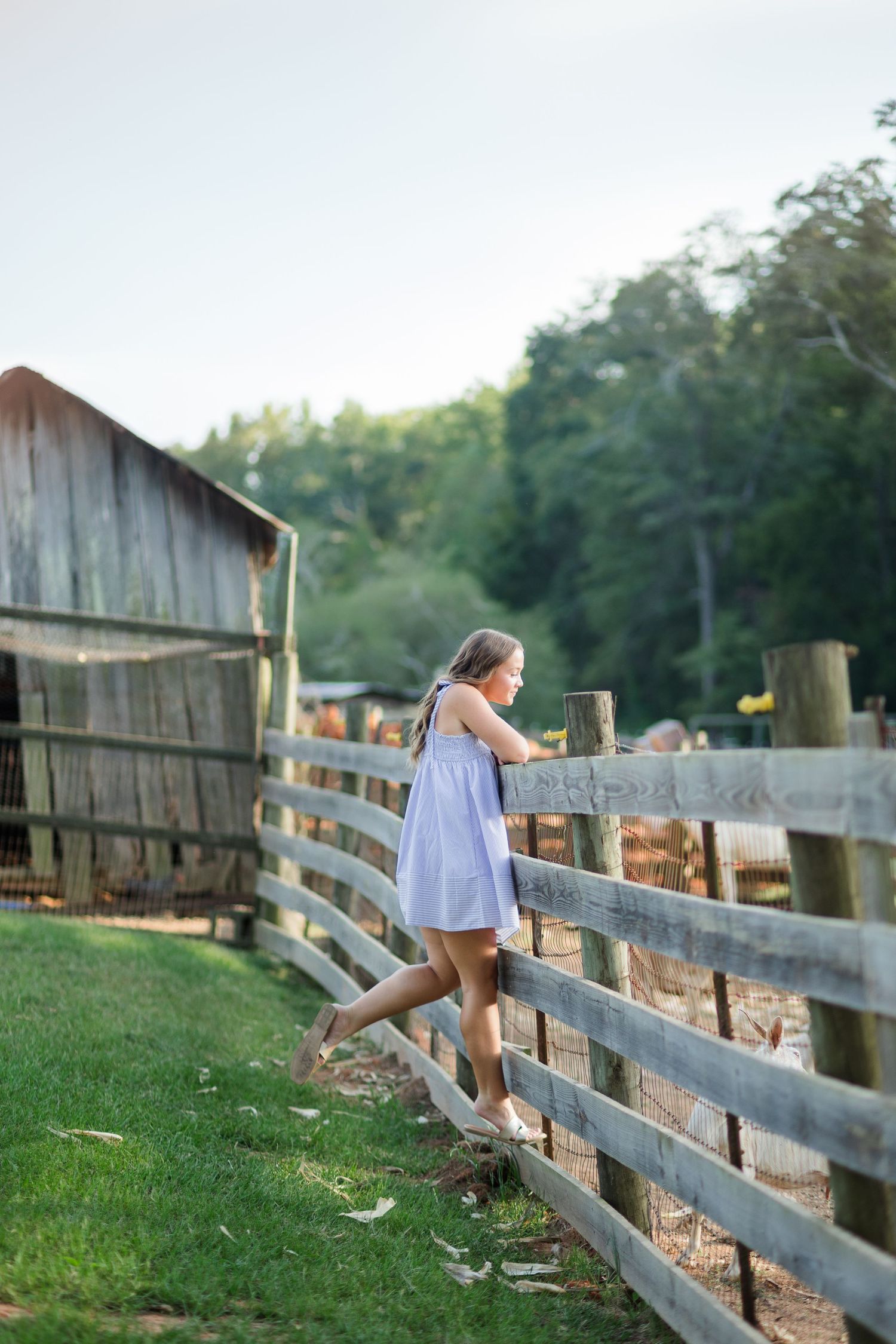 Young girl in light blue dress leaning on rustic wooden fence at farm with barn and trees in background.