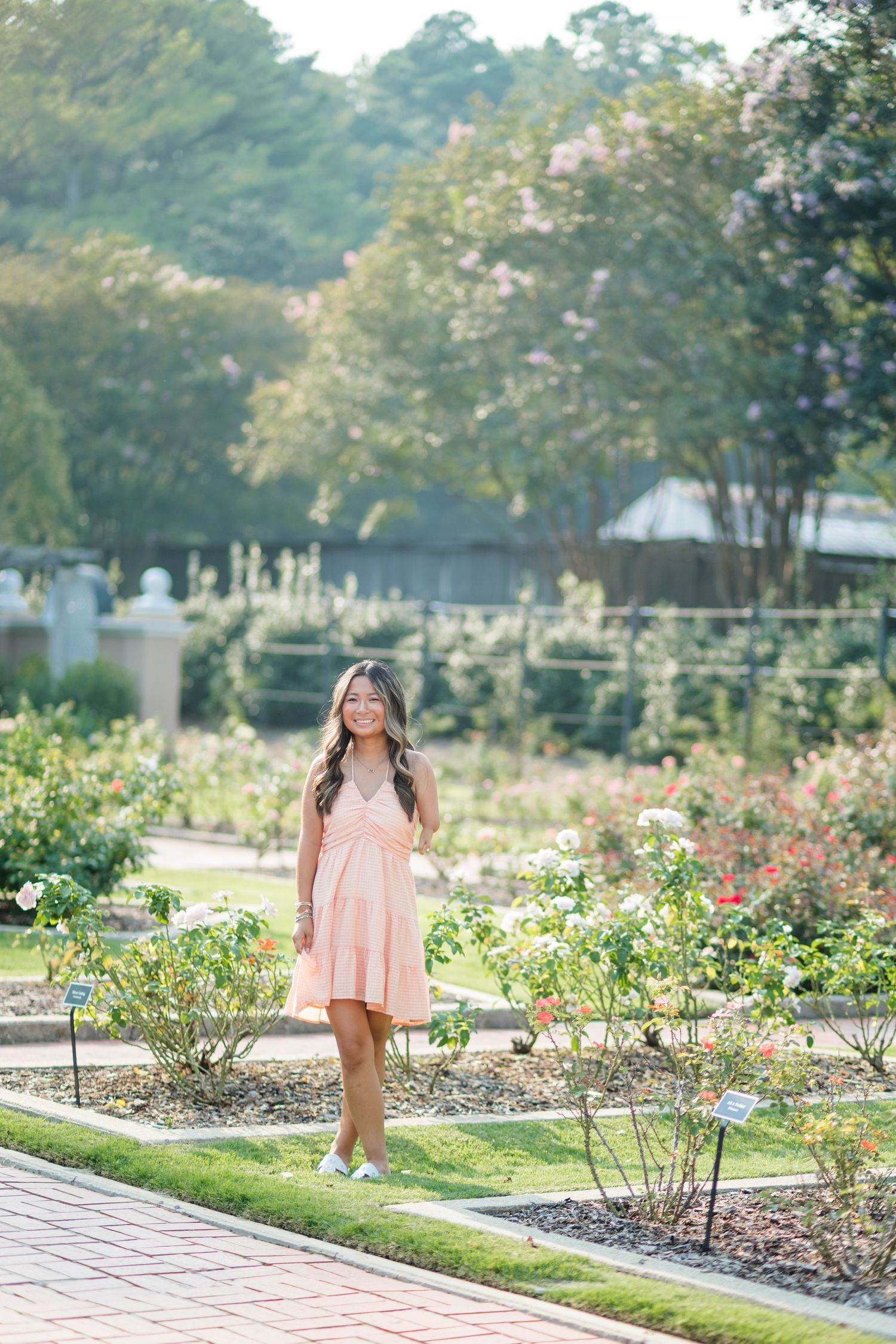 Smiling woman in pink dress posing in rose garden with brick pathway and blooming flowers.